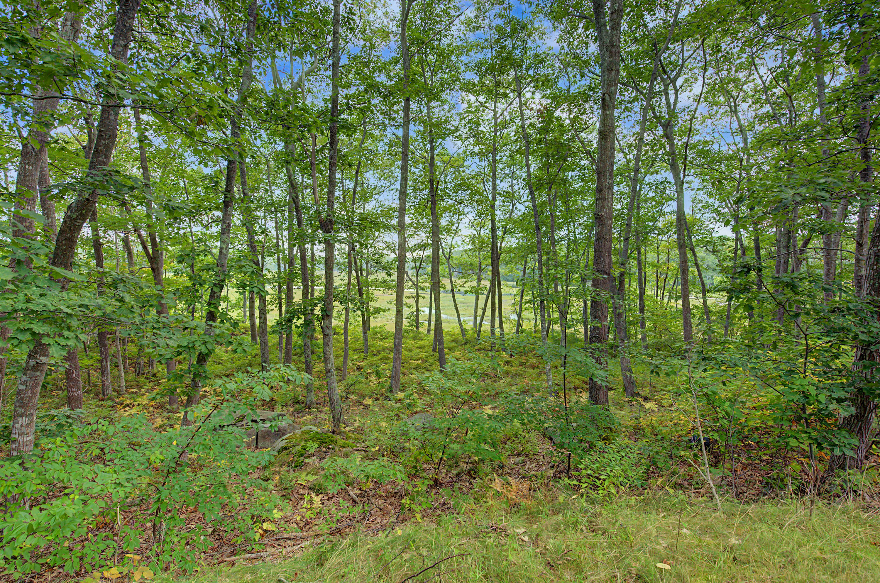 2 Little River Road Property Photo 38