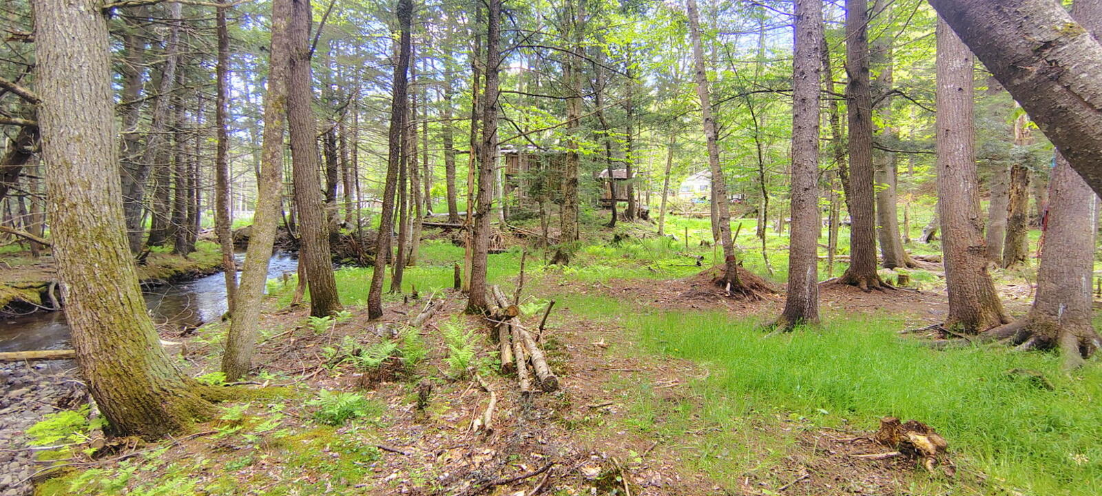 463 Clover Mill Road Property Photo 2