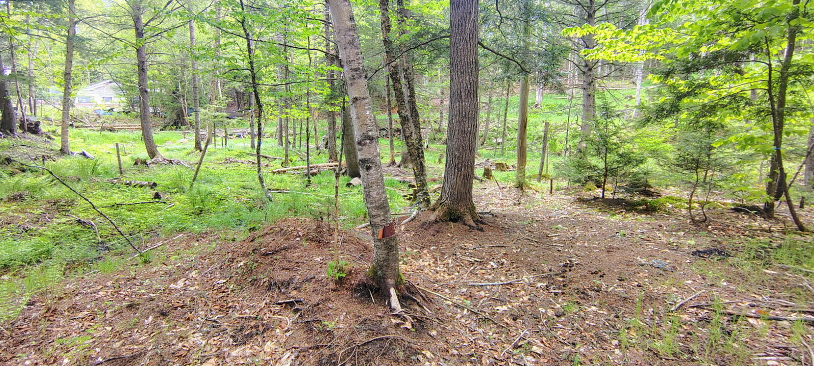 463 Clover Mill Road Property Photo 22
