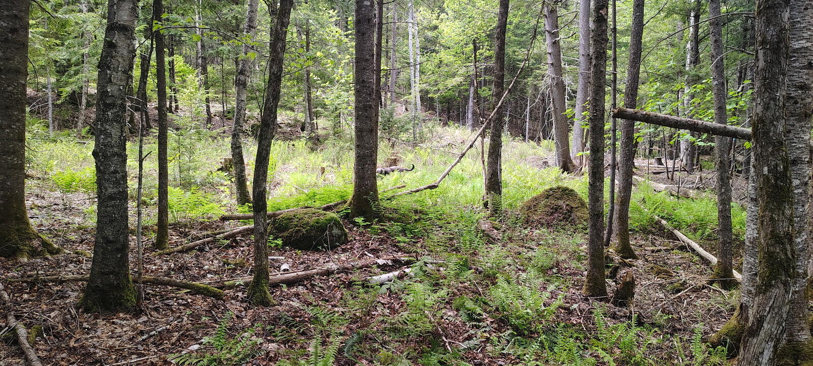 463 Clover Mill Road Property Photo 24