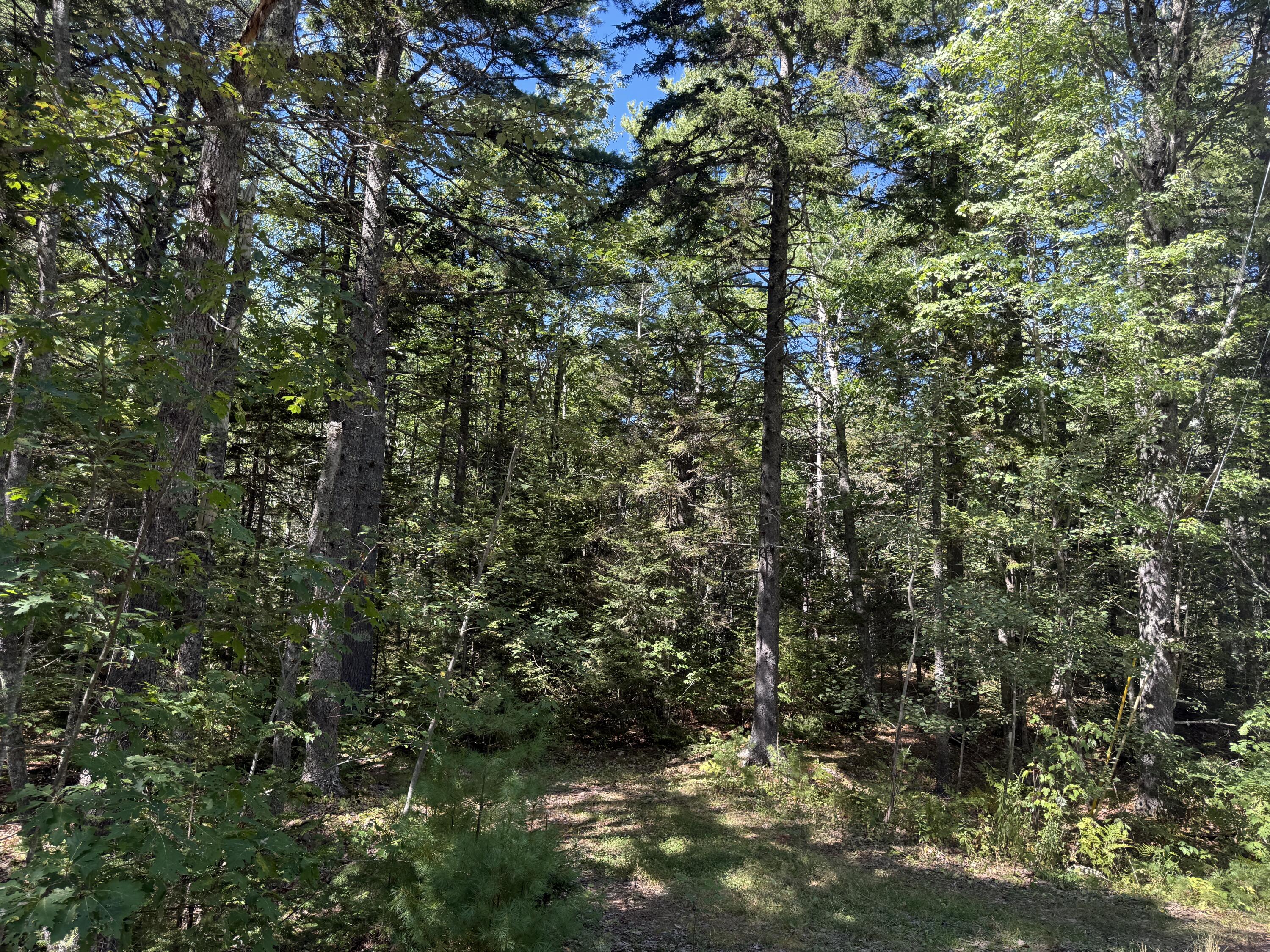 M-9 Property Photo 3