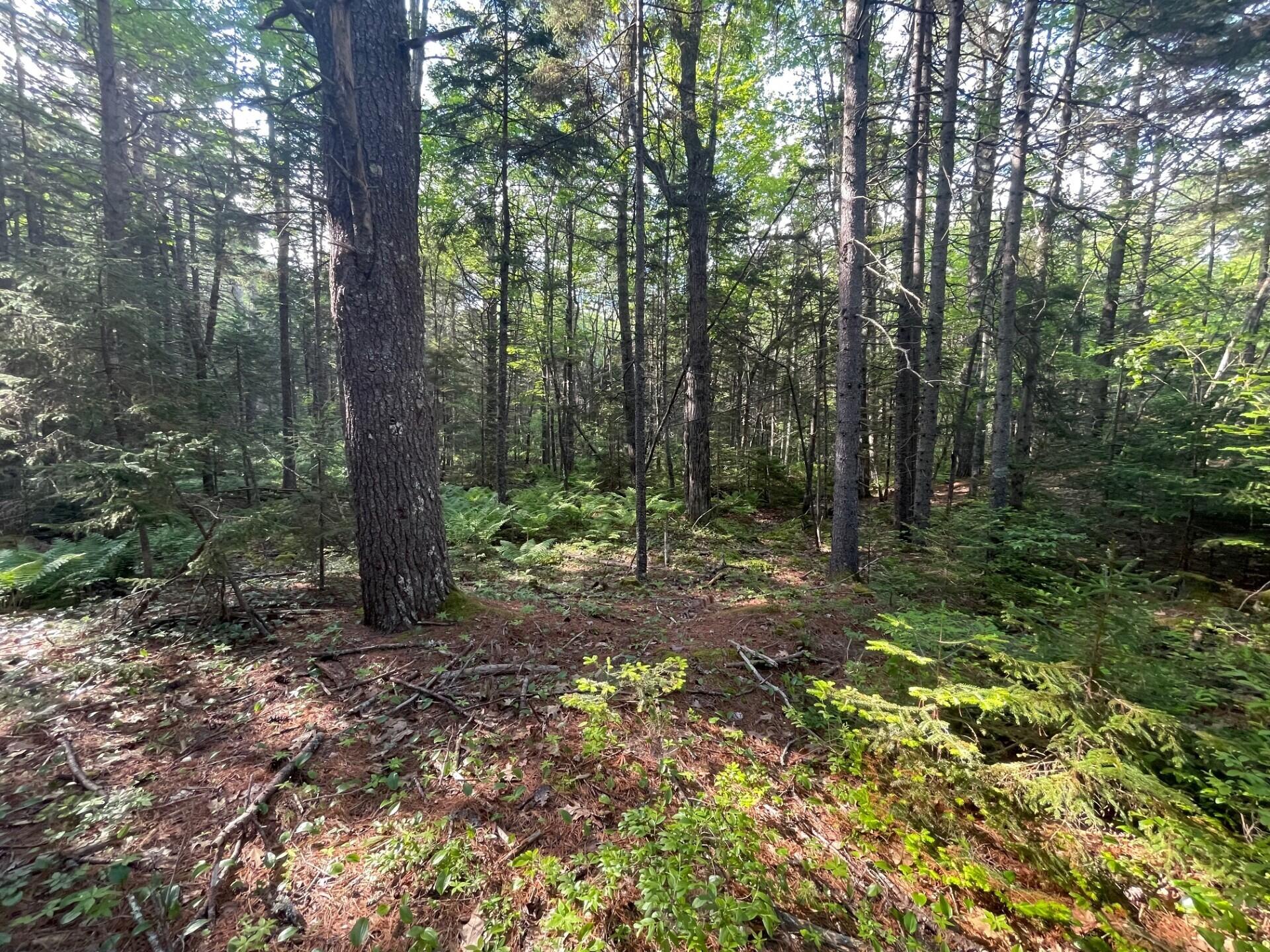 M-9 Property Photo 6