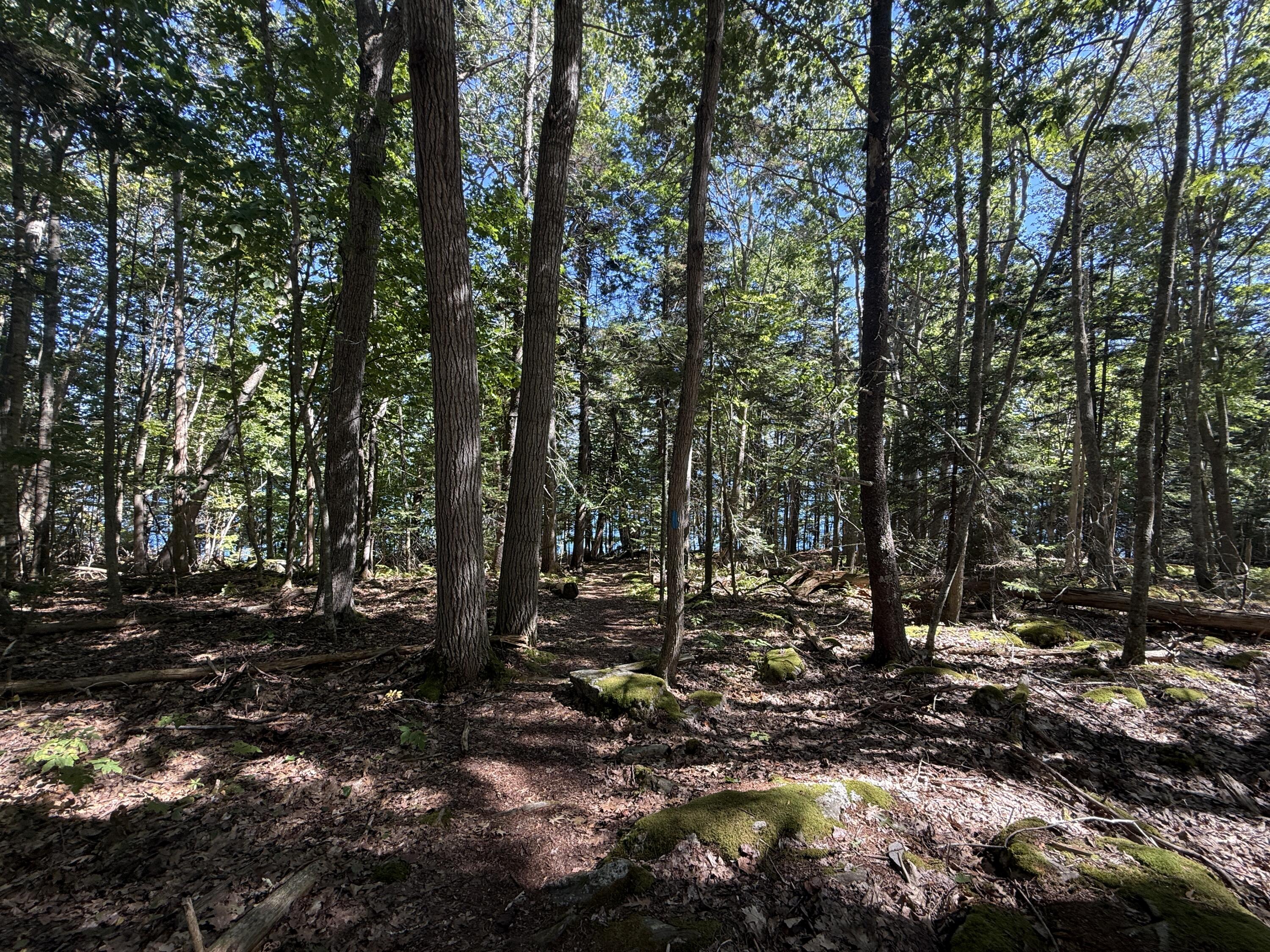 M-9 Property Photo 12