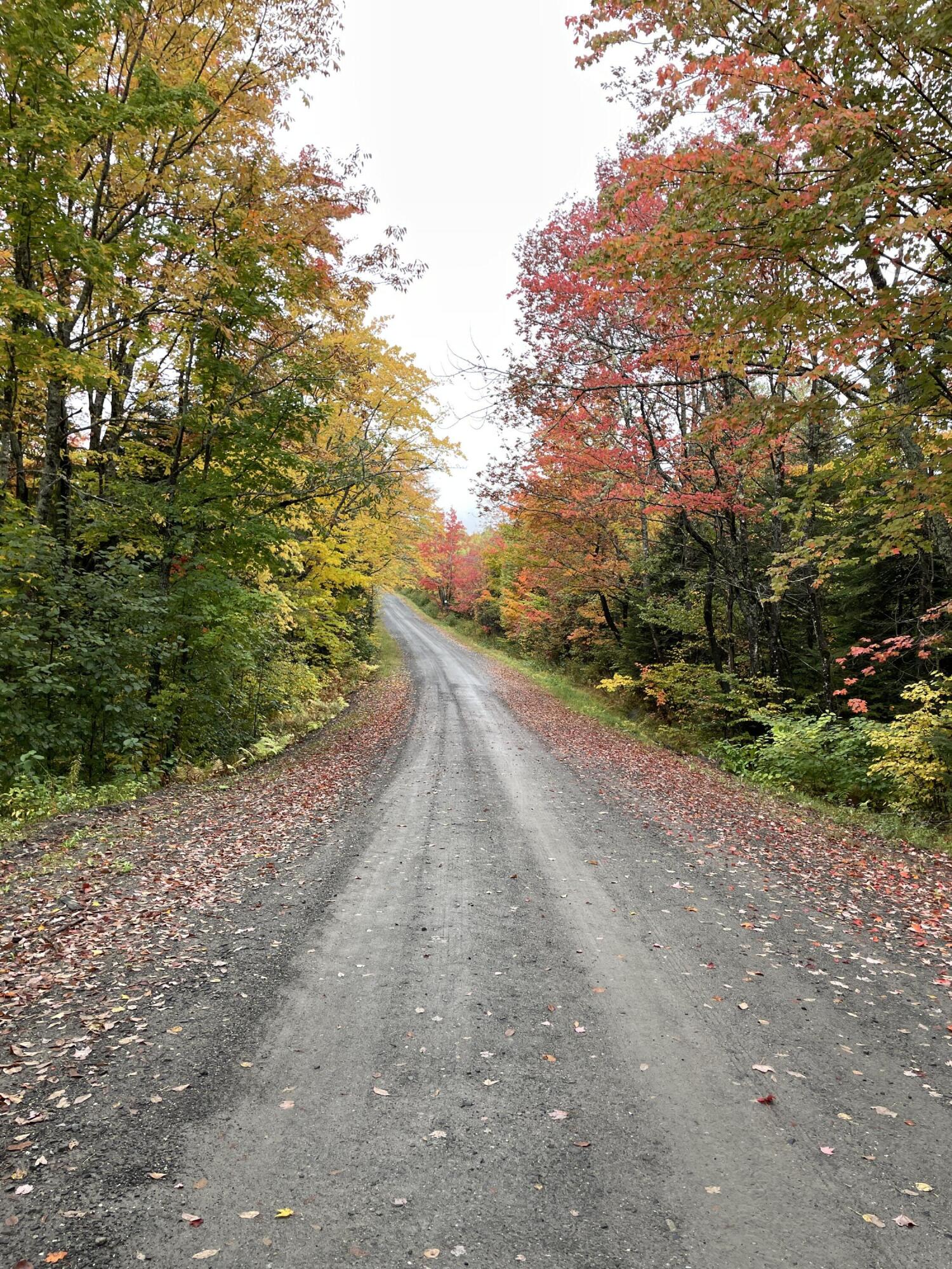 Lot#16m-2 Campbell Rd Property Photo 4