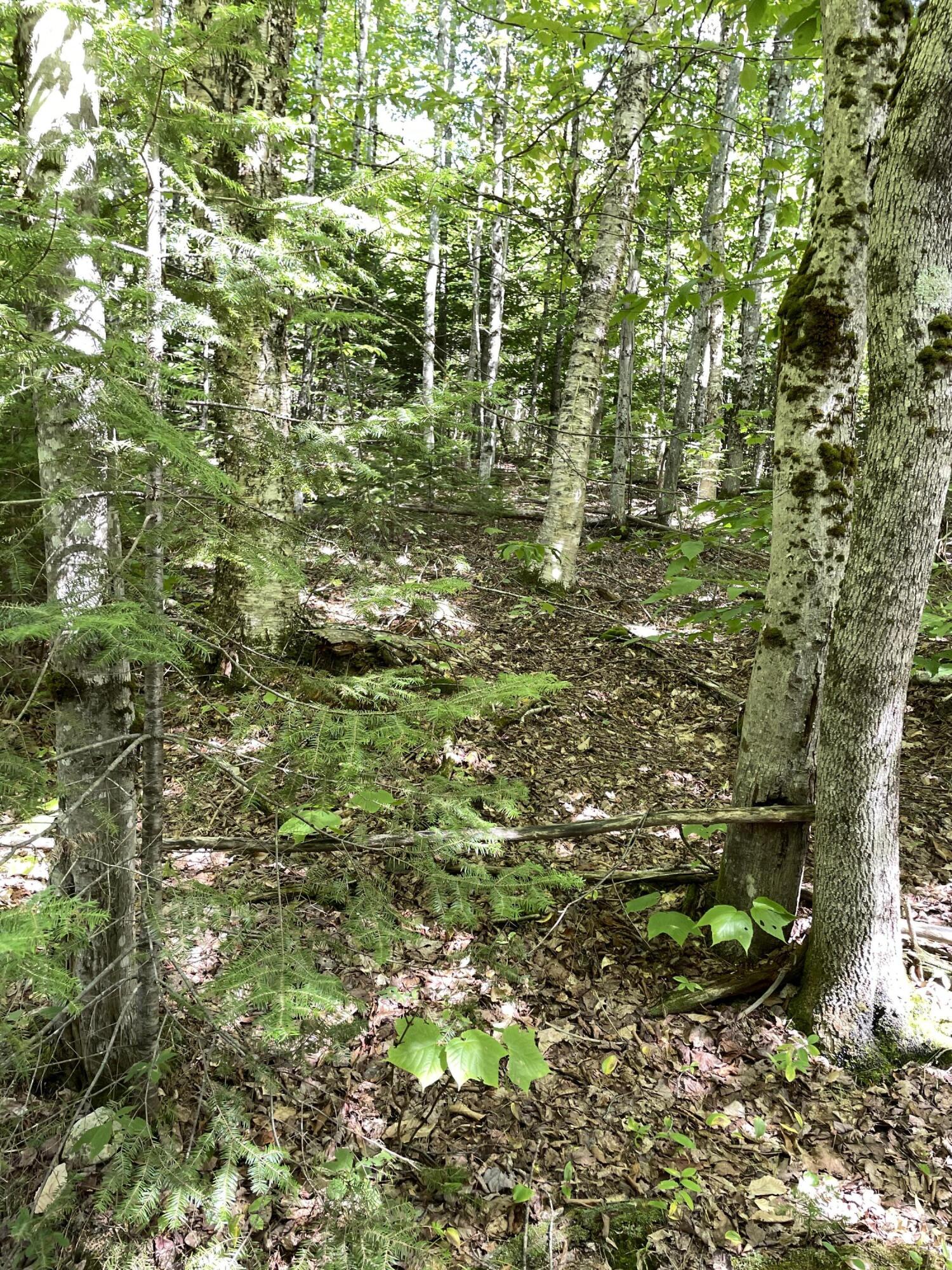 Lot#16m-2 Campbell Rd Property Photo 14