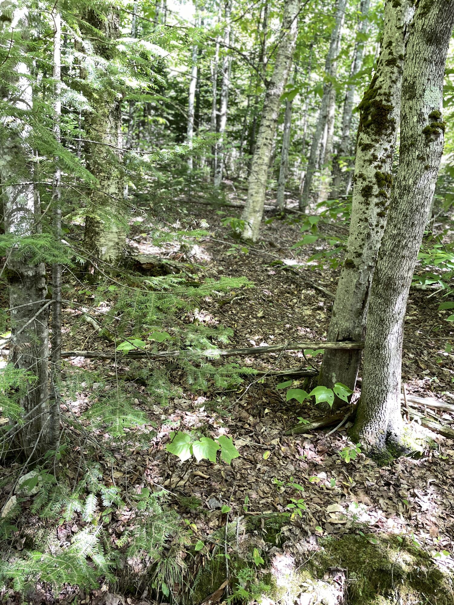 Lot#16m-2 Campbell Rd Property Photo 19