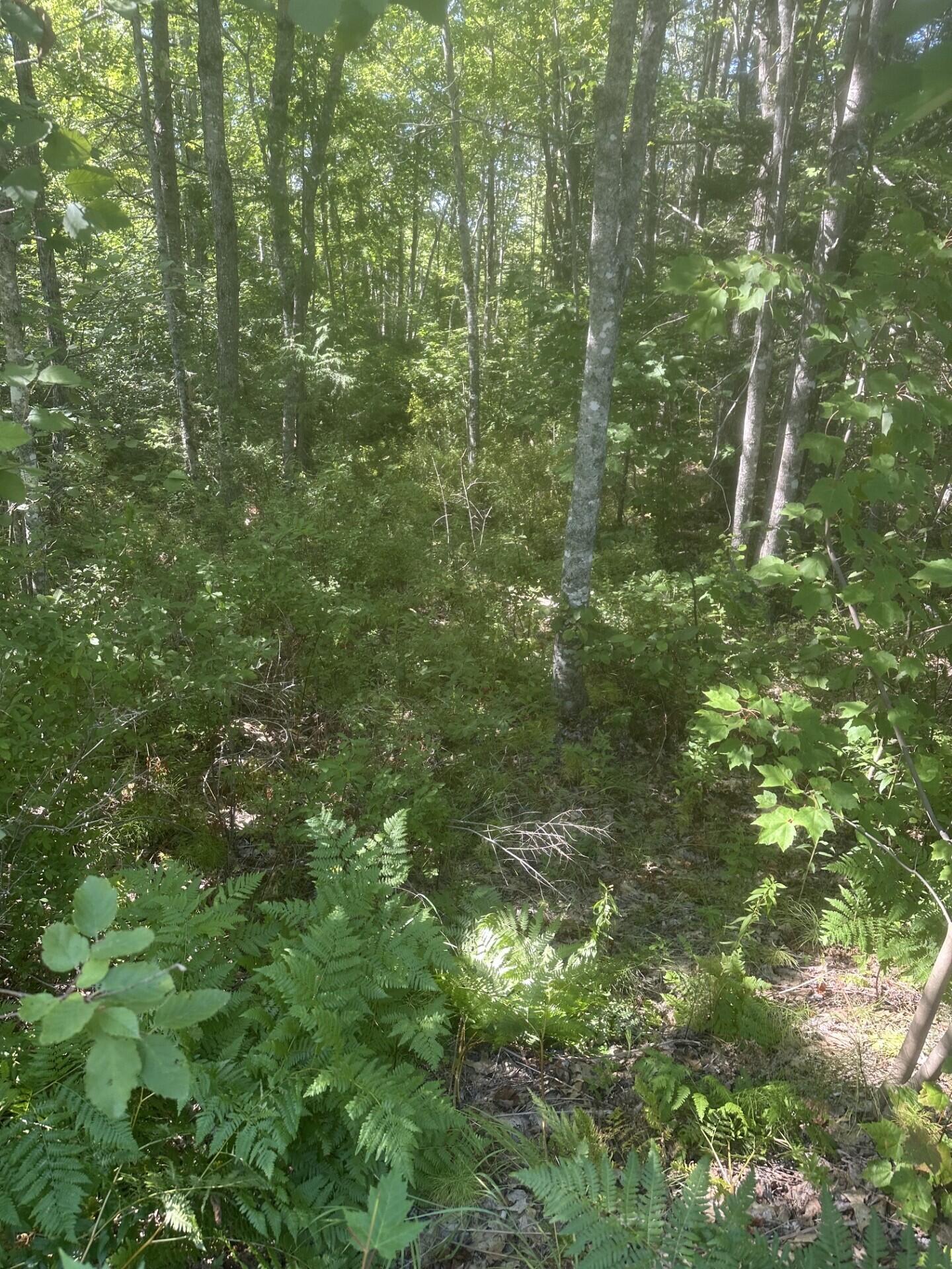 Lot 2 W Side Unionville Road Property Photo 1