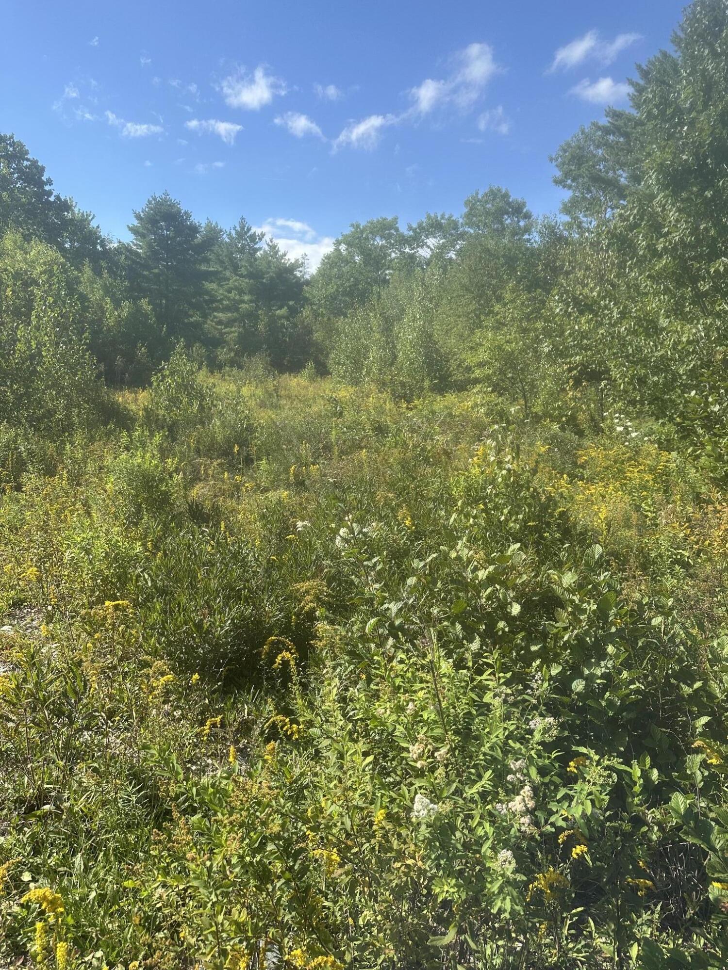 Lot 4 W Side Unionville Road Property Photo 1