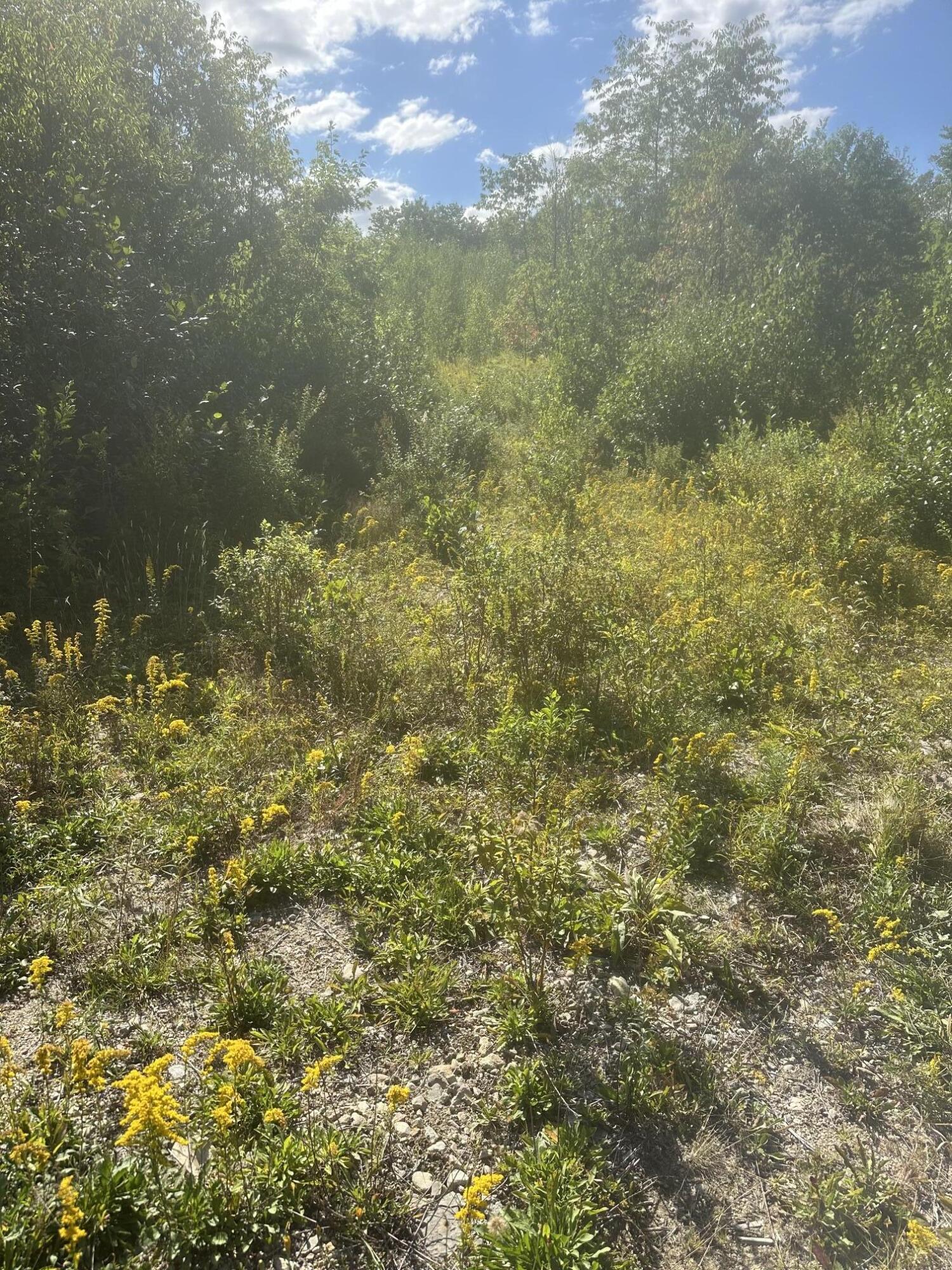 Lot 4 W Side Unionville Road Property Photo 2