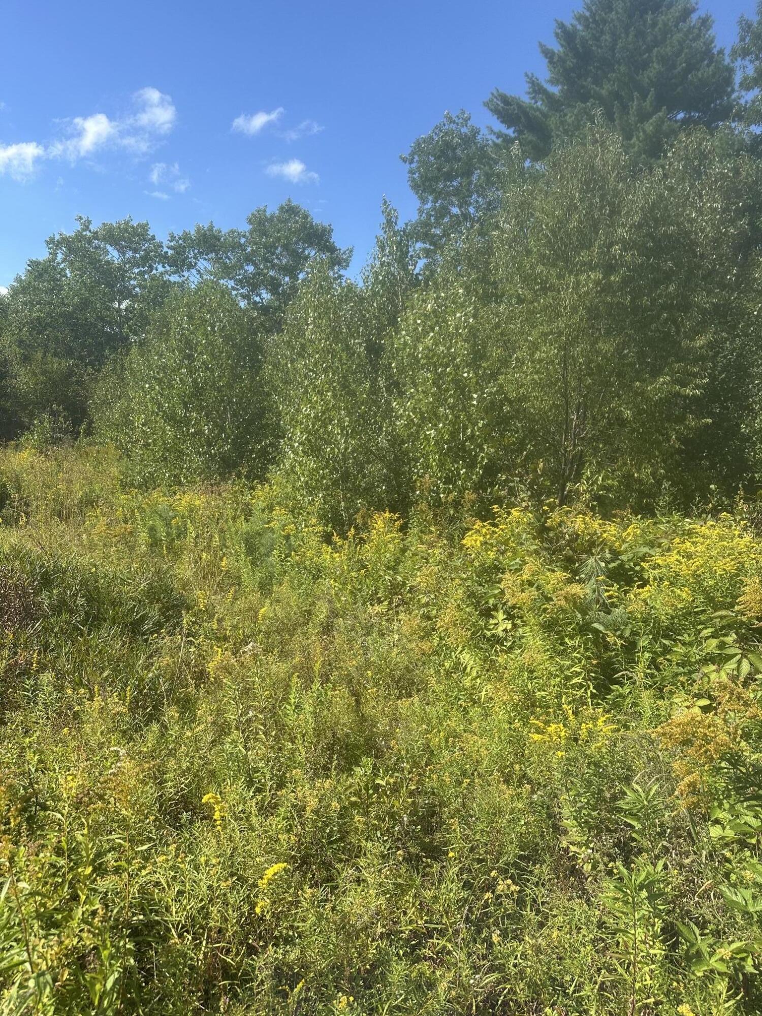 Lot 4 W Side Unionville Road Property Photo 3