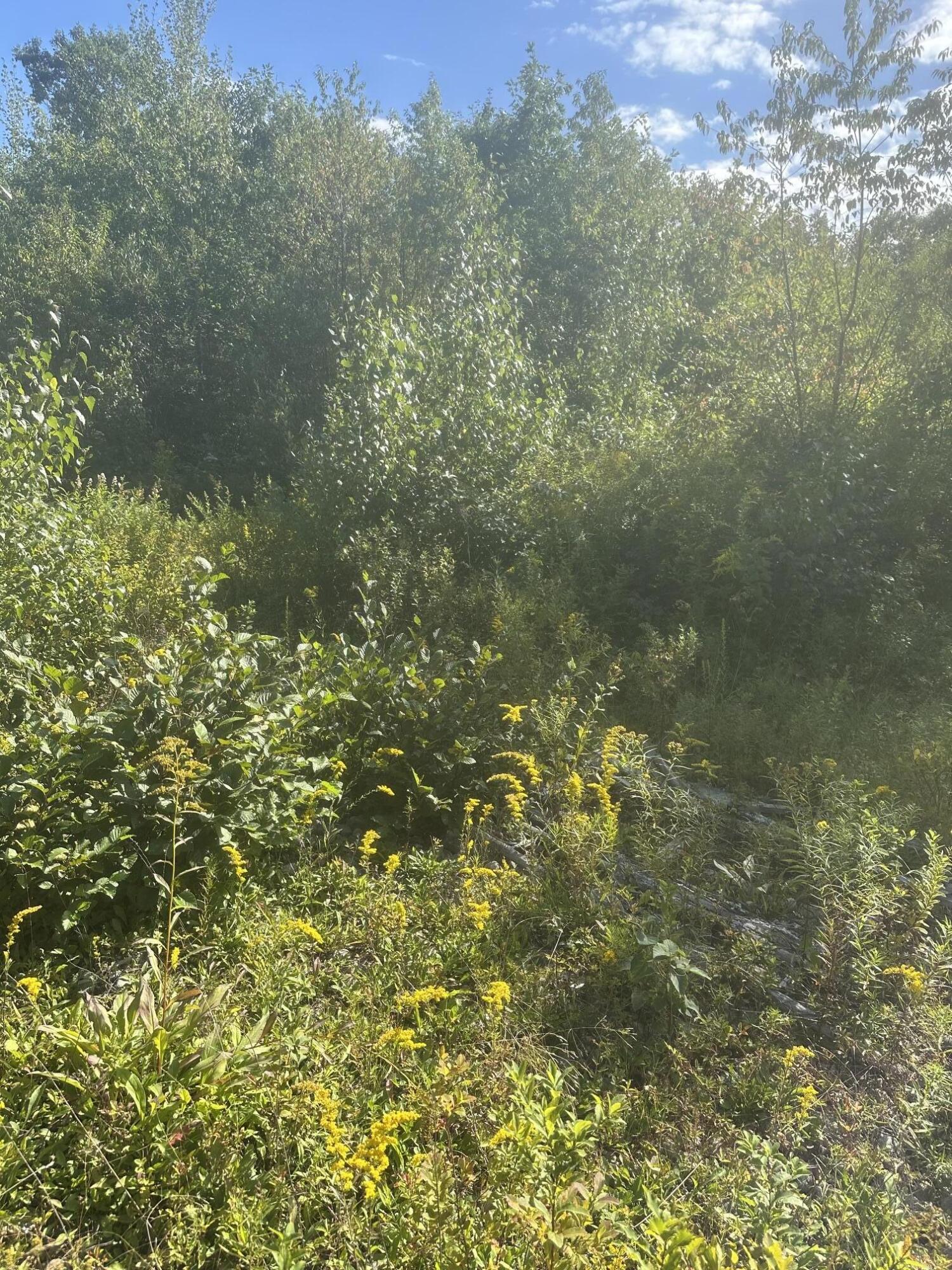 Lot 4 W Side Unionville Road Property Photo 4
