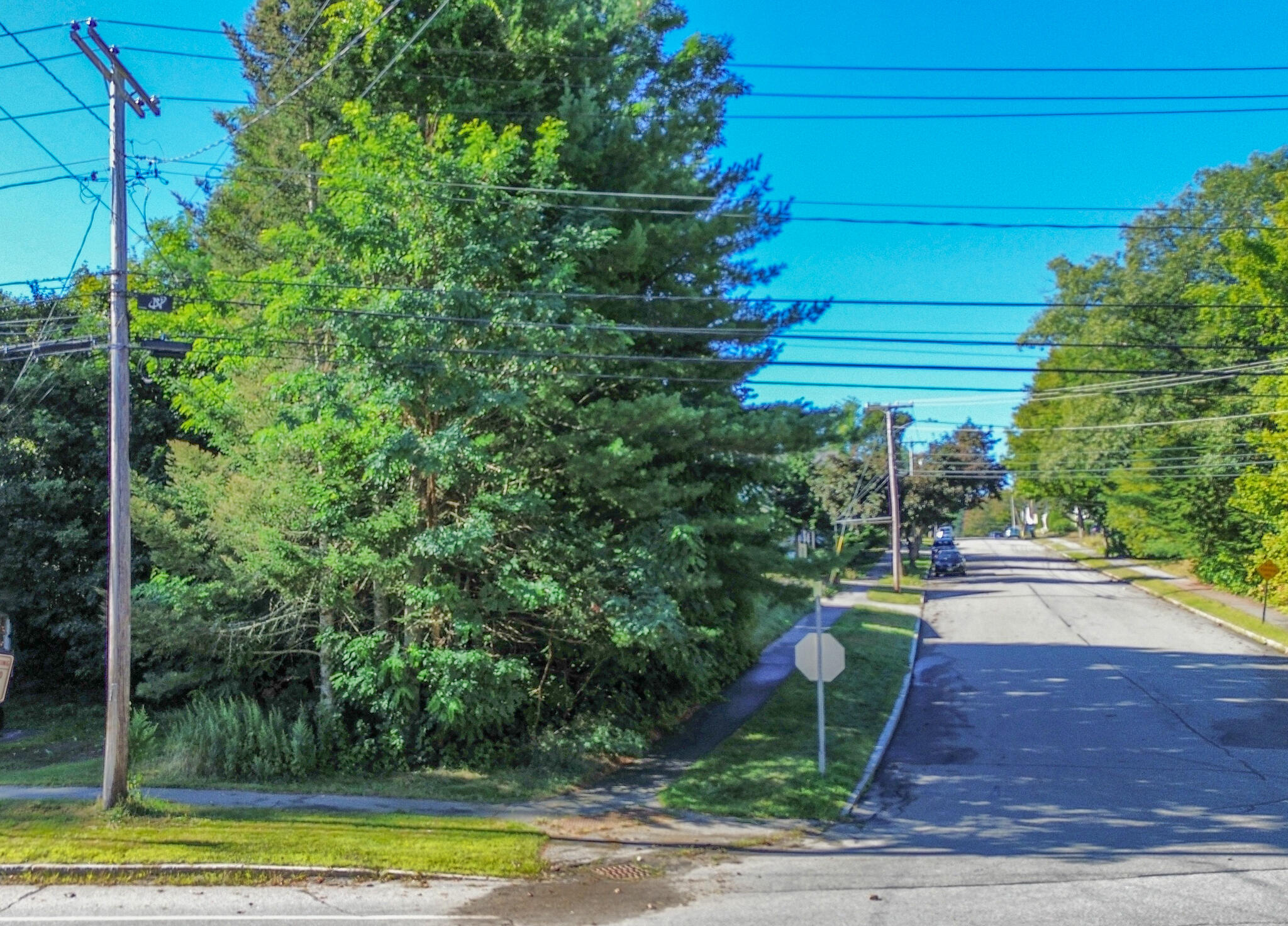 Lot 1 Gamage Avenue Property Photo 6