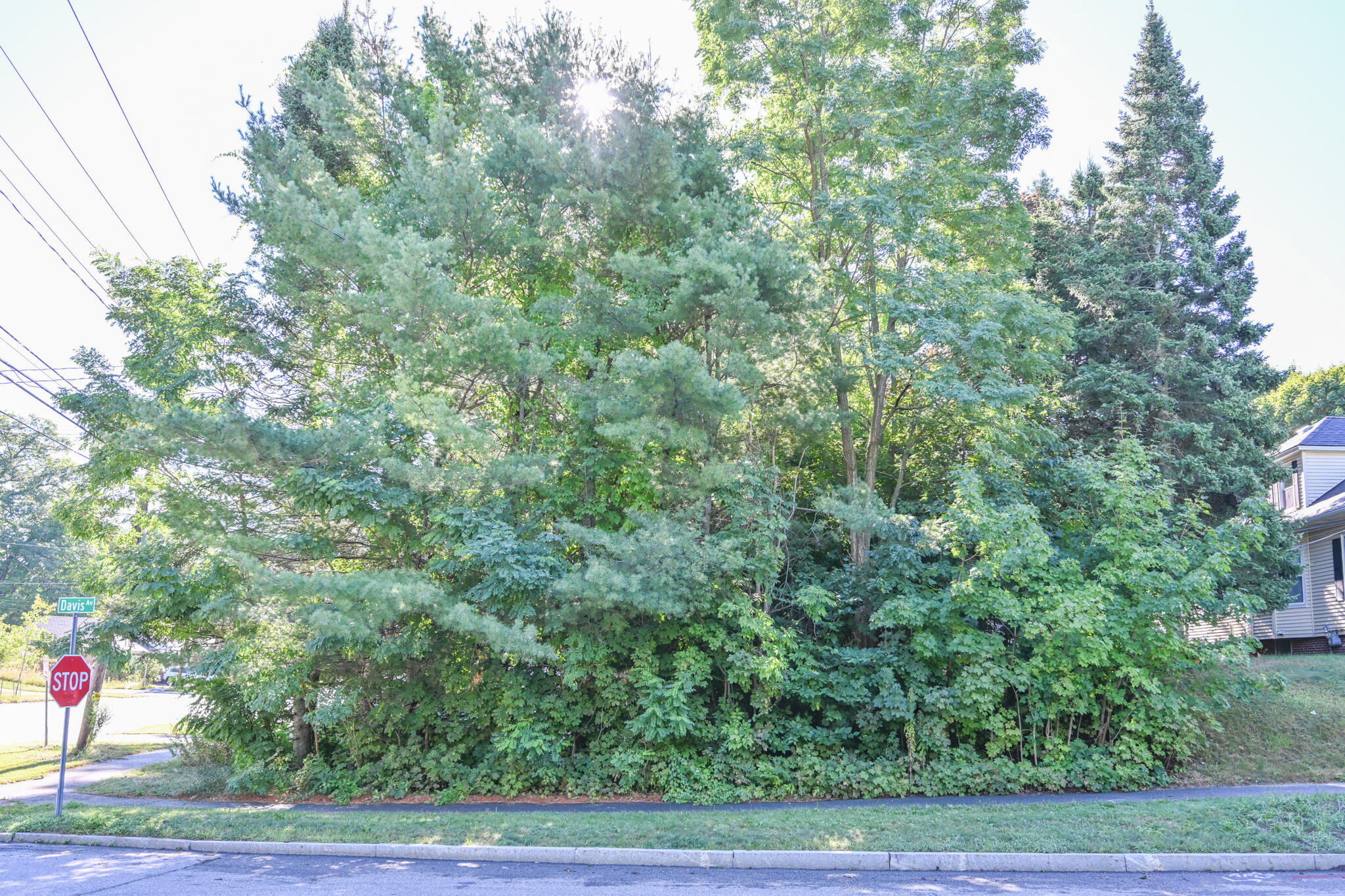 Lot 1 Gamage Avenue Property Photo 7