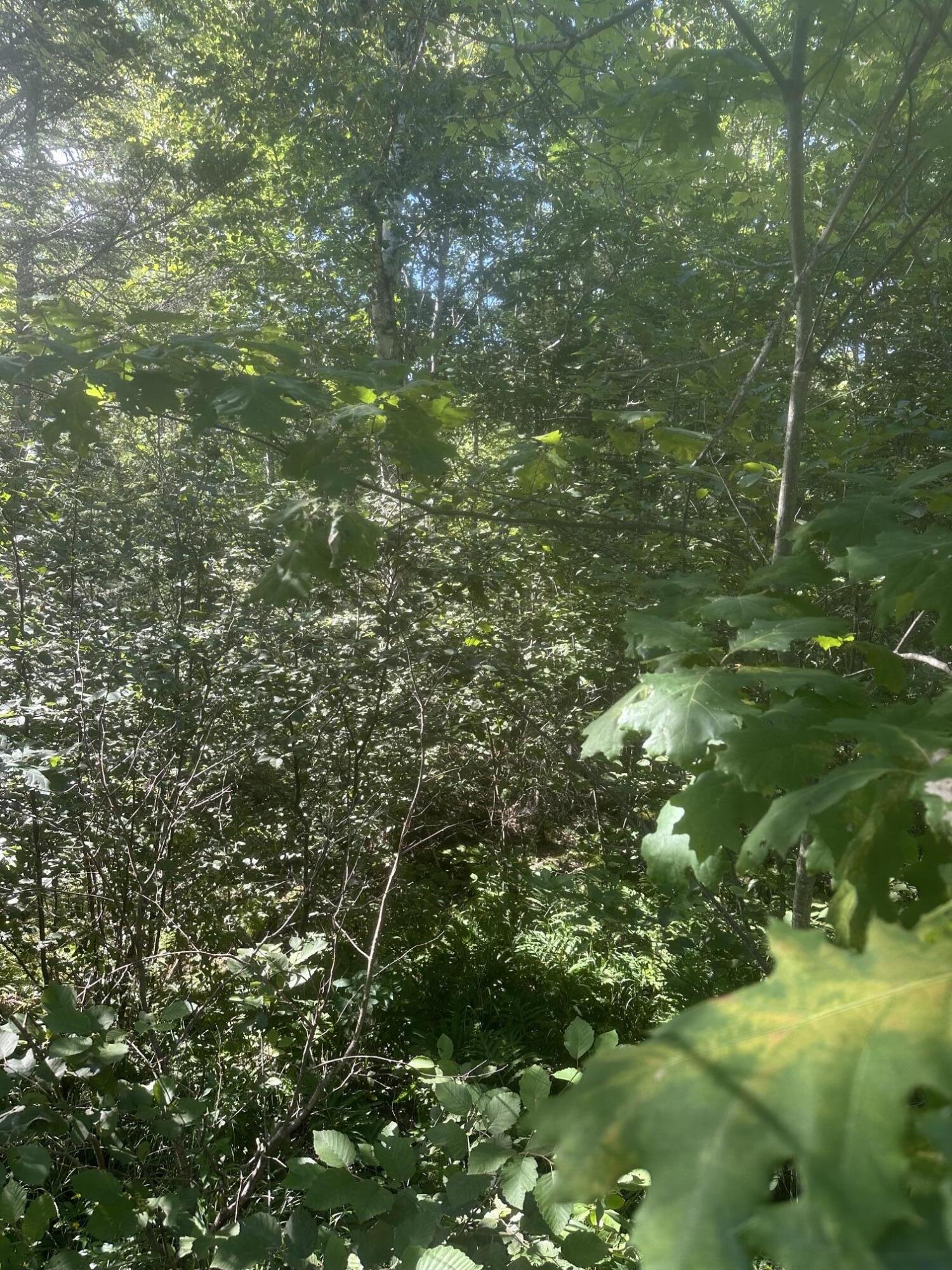 Lot 5 W Side Unionville Road Property Photo 1