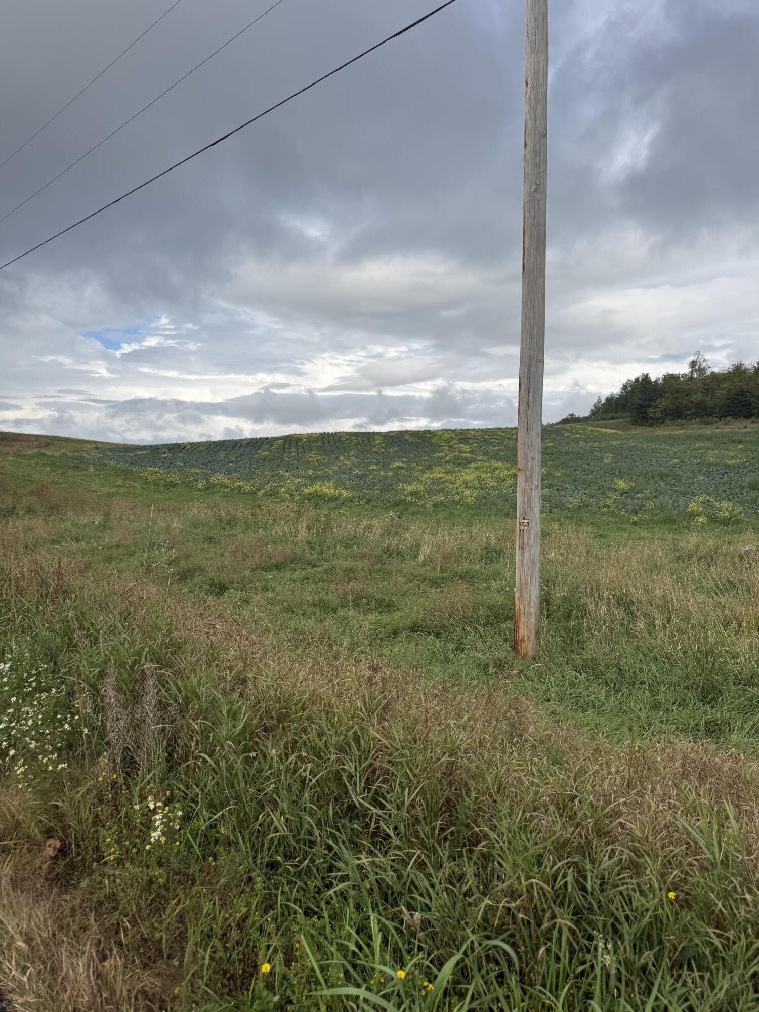 1080 N Perley Brook Road Property Photo 13