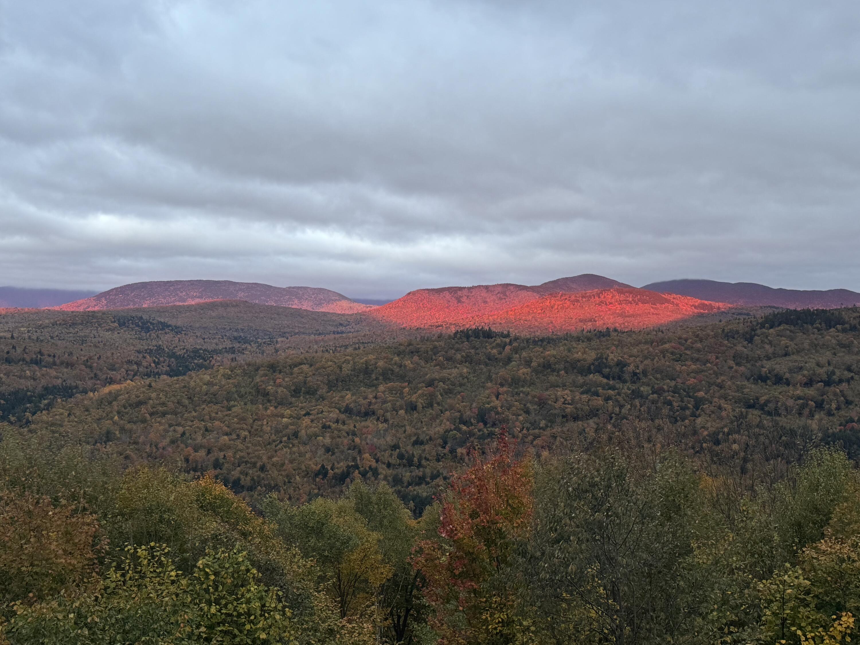 149 Ira Mountain Road Property Photo 87