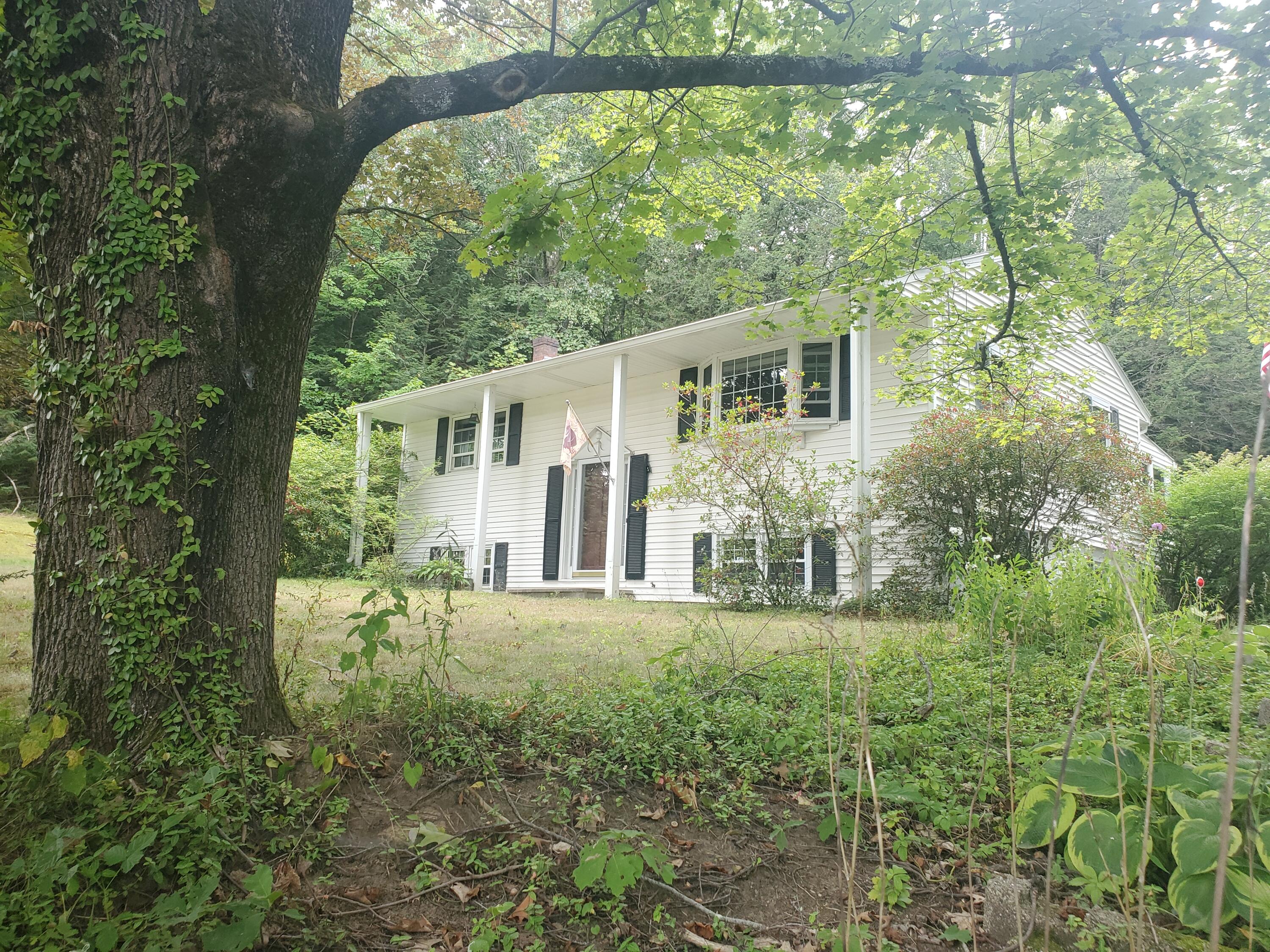 332 Gray Road Property Photo 5