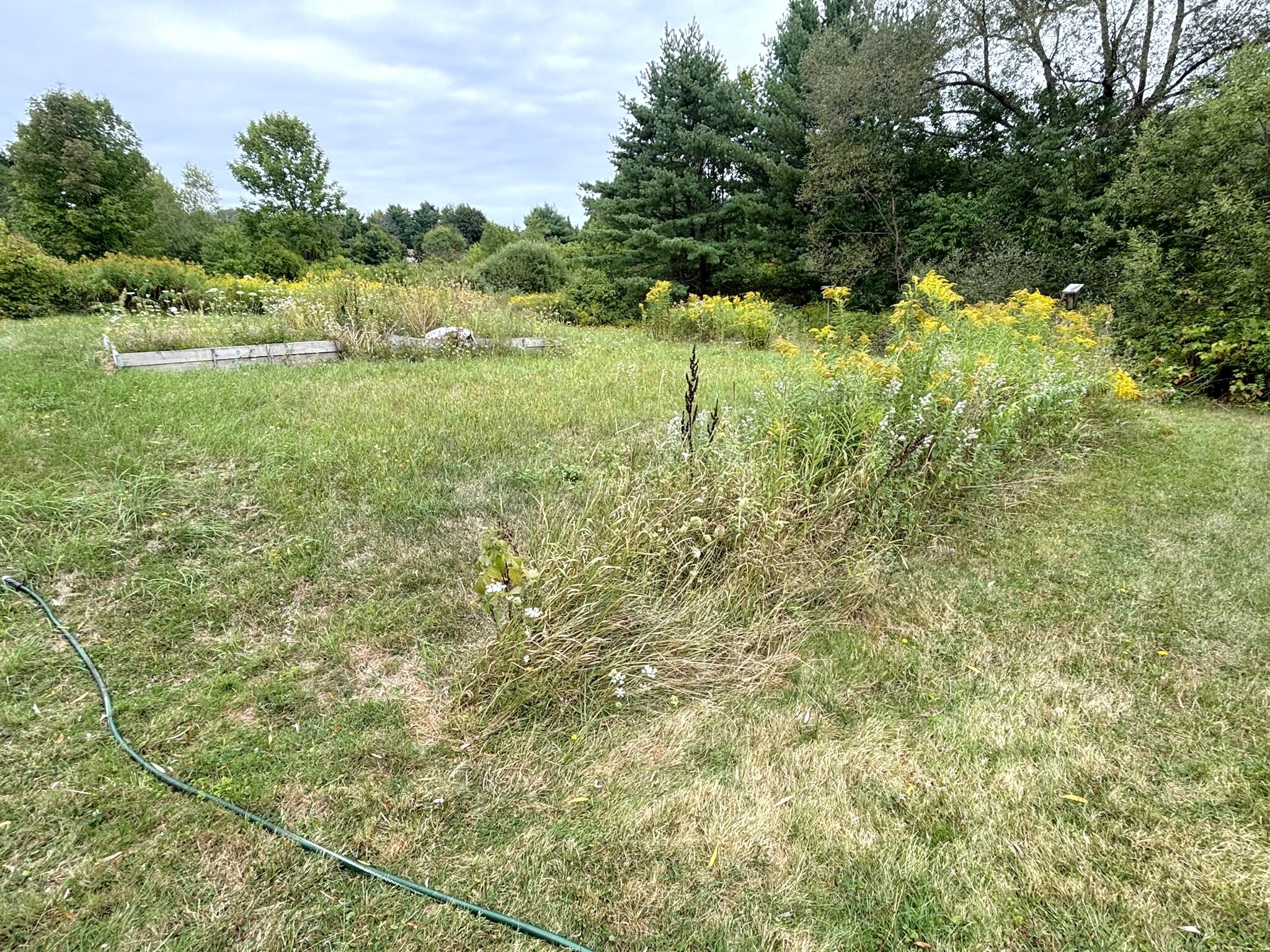 766 Webster Street Property Photo 72