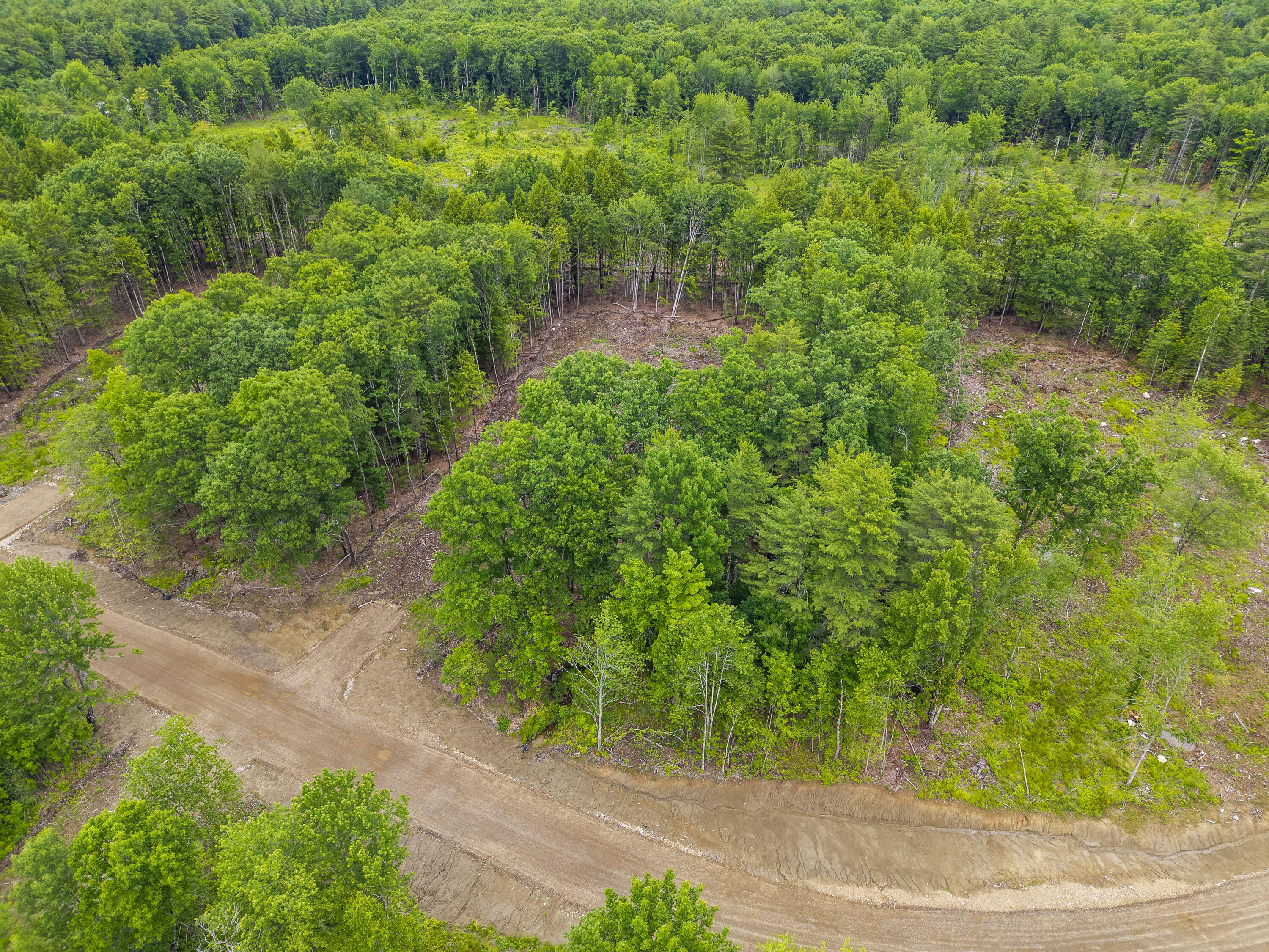 Lot 4 Abby's Way Property Photo 1