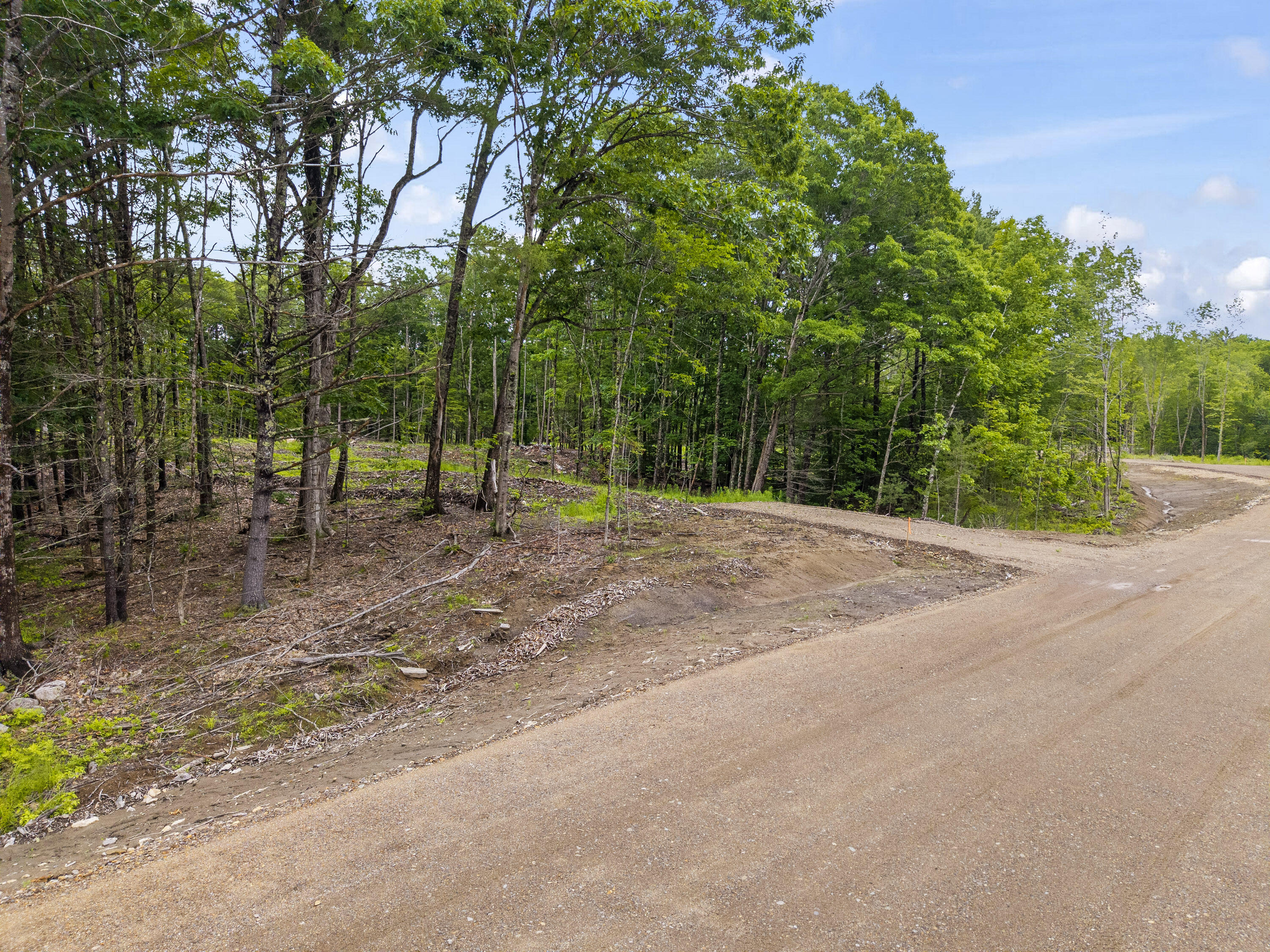 Lot 7 Abby's Way Property Photo 18