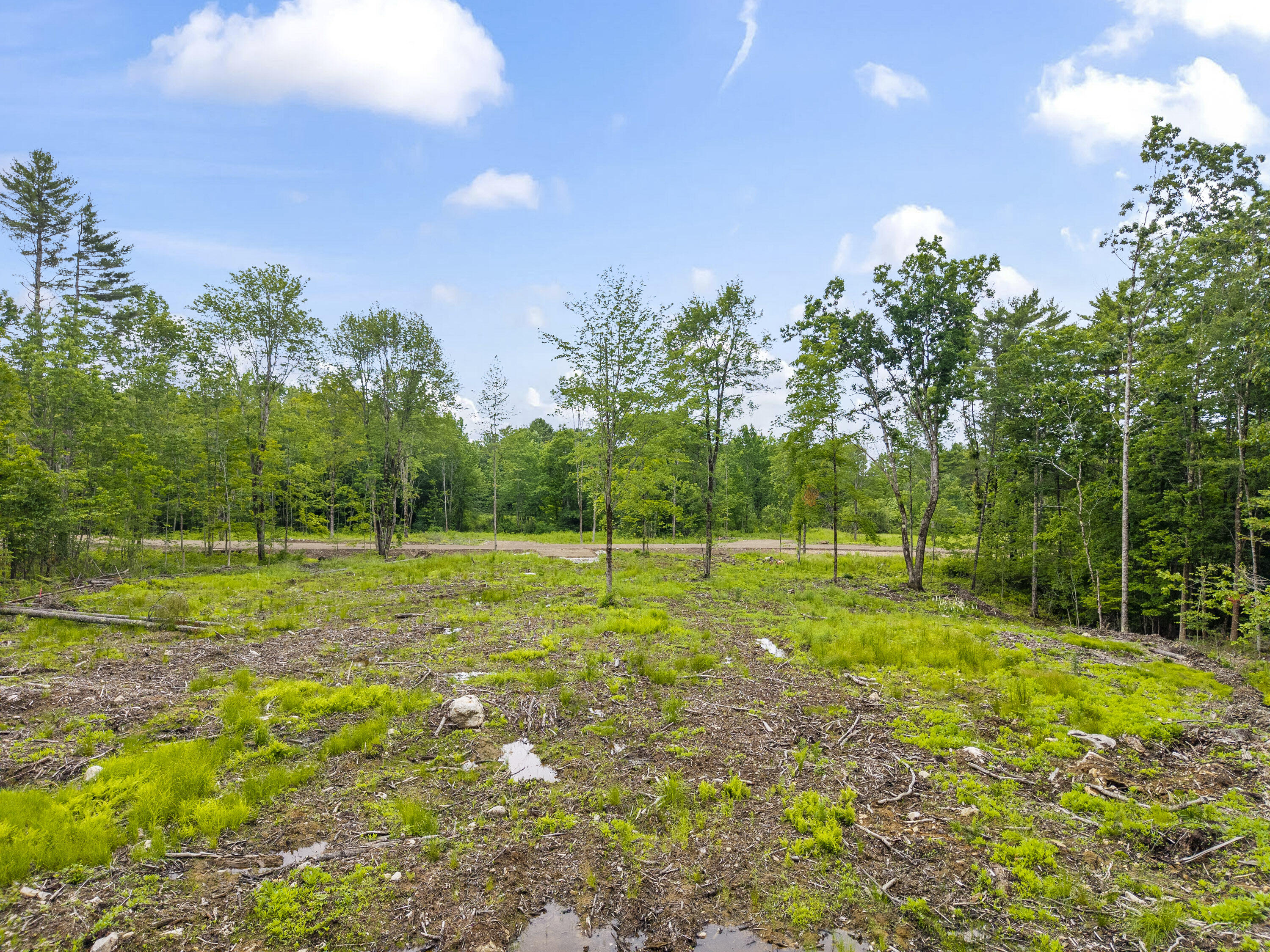 Lot 8 Abby's Way Property Photo 16