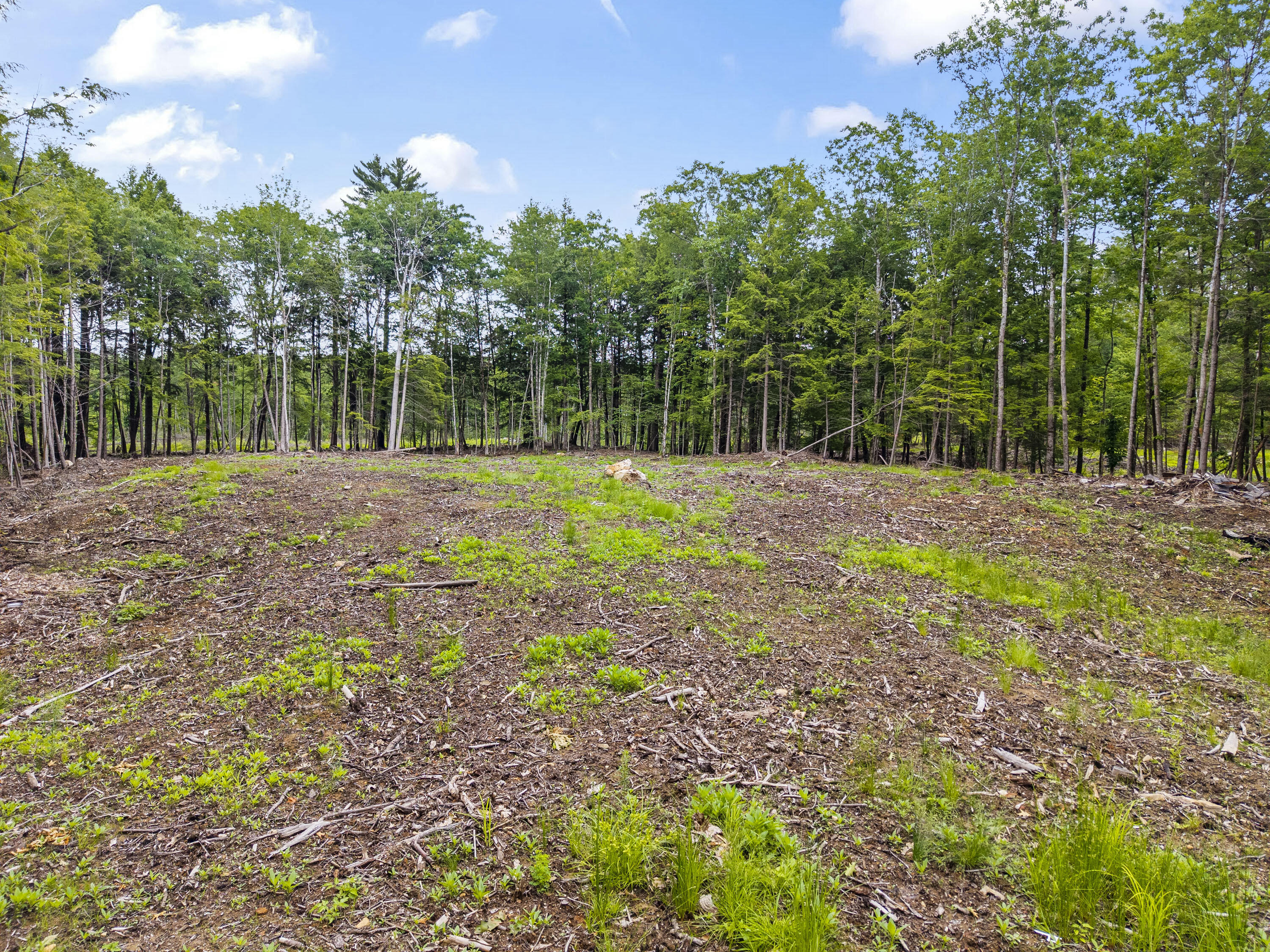 Lot 8 Abby's Way Property Photo 21