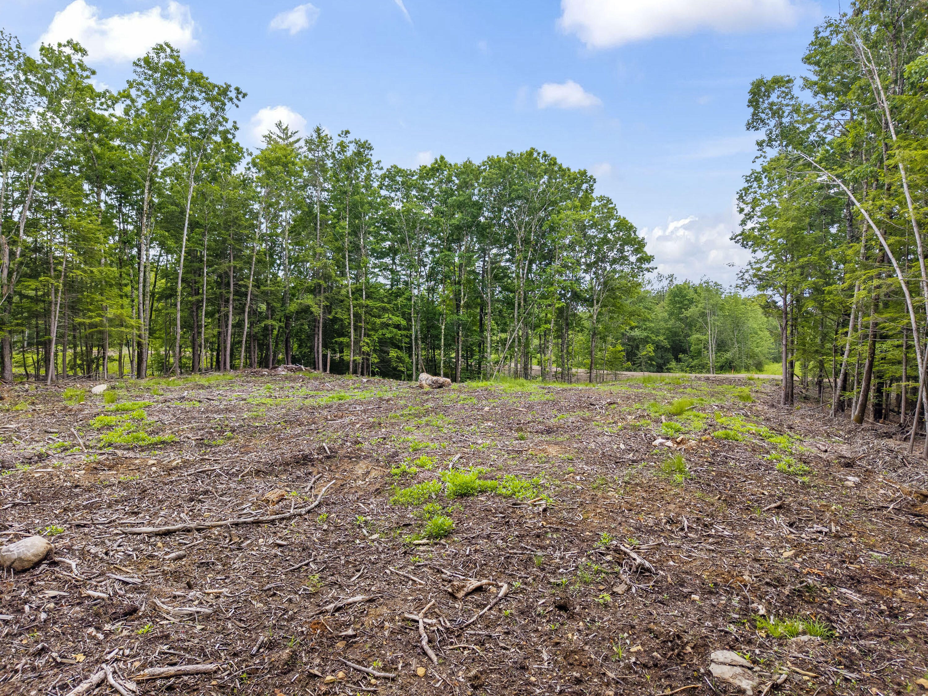 Lot 8 Abby's Way Property Photo 22
