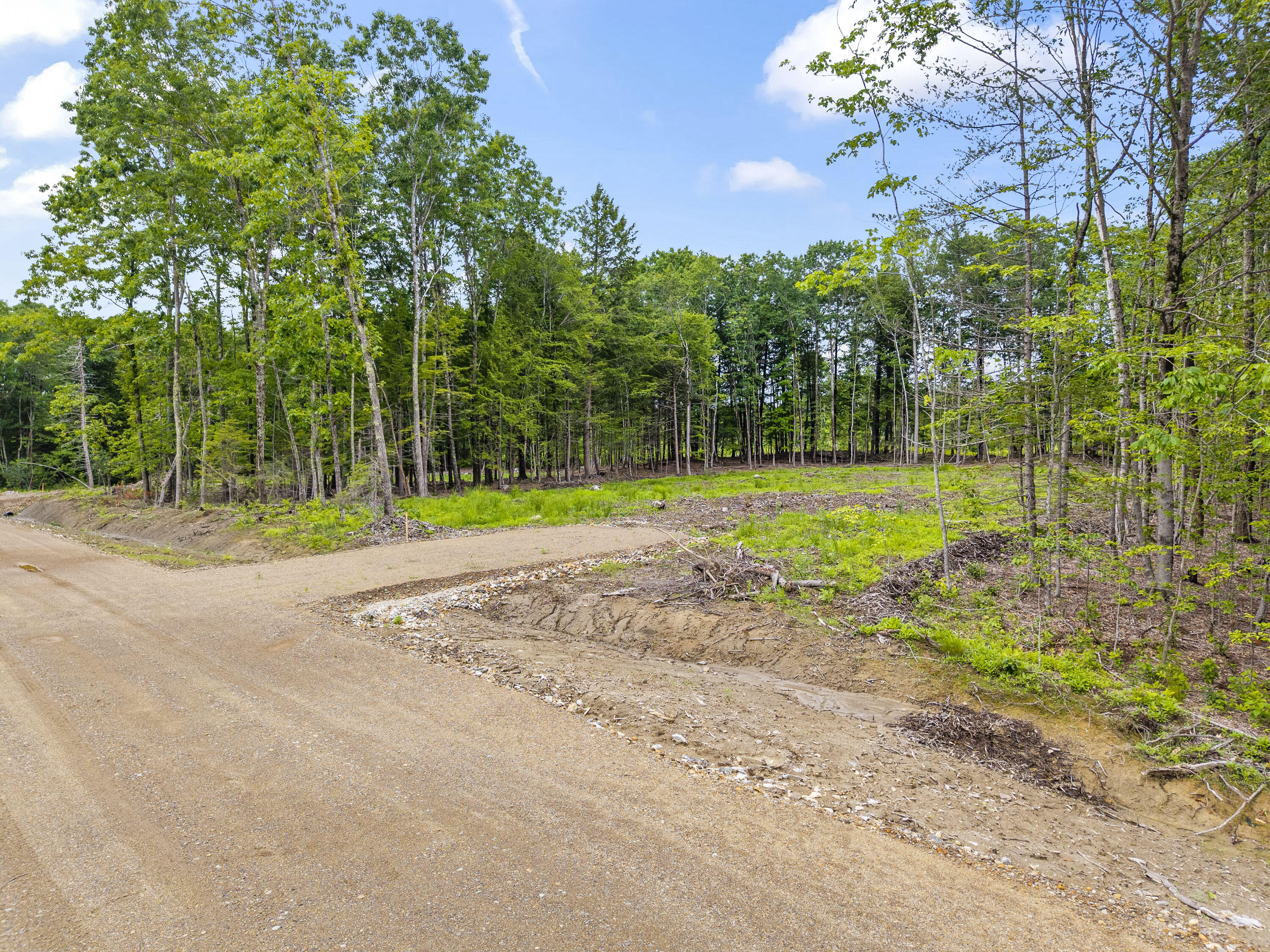Lot 8 Abby's Way Property Photo 25