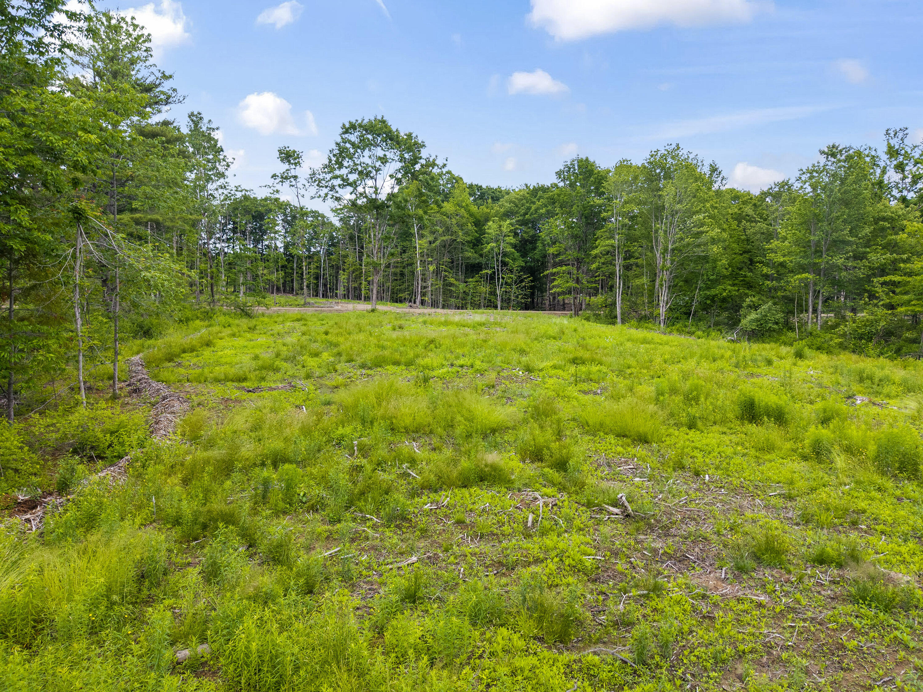 Lot 8 Abby's Way Property Photo 54