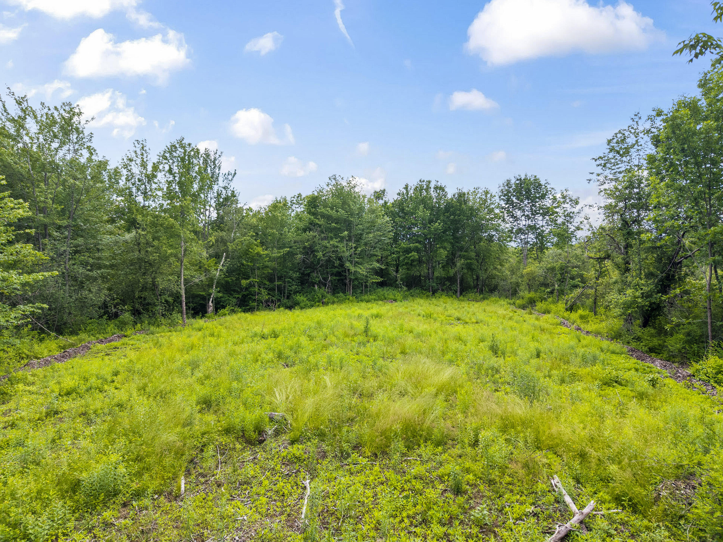Lot 8 Abby's Way Property Photo 59