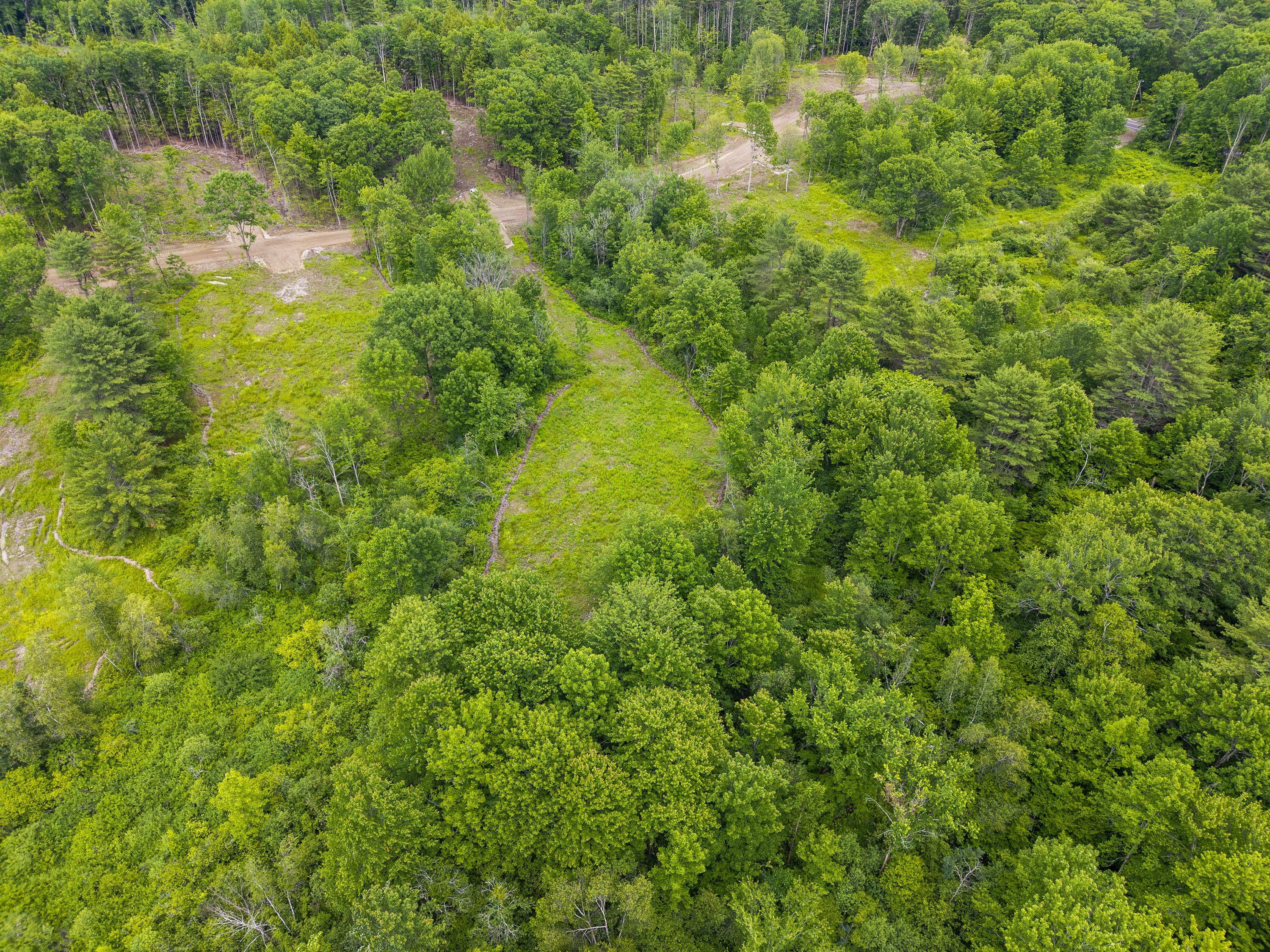 Lot 8 Abby's Way Property Photo 62