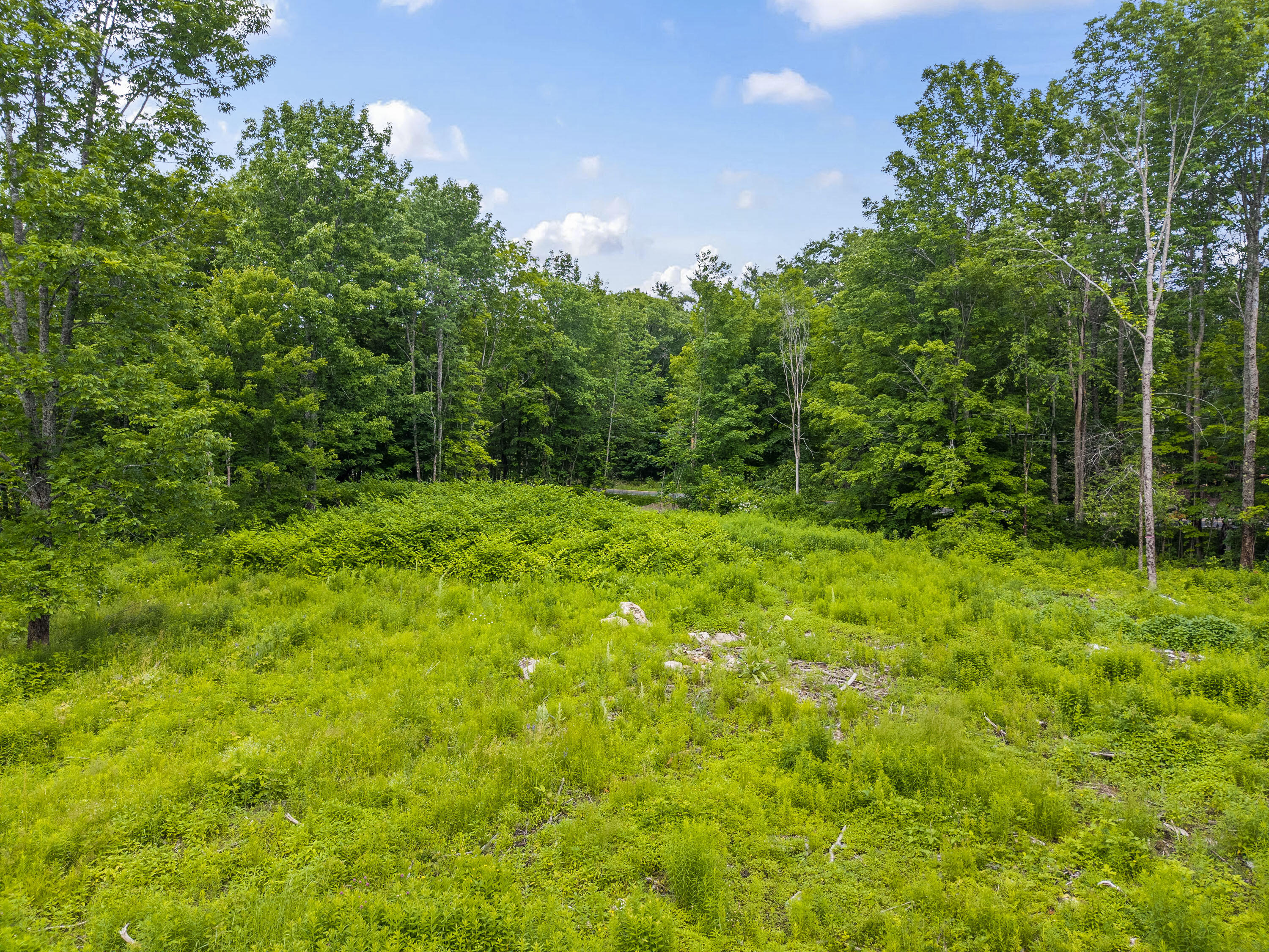 Lot 8 Abby's Way Property Photo 77