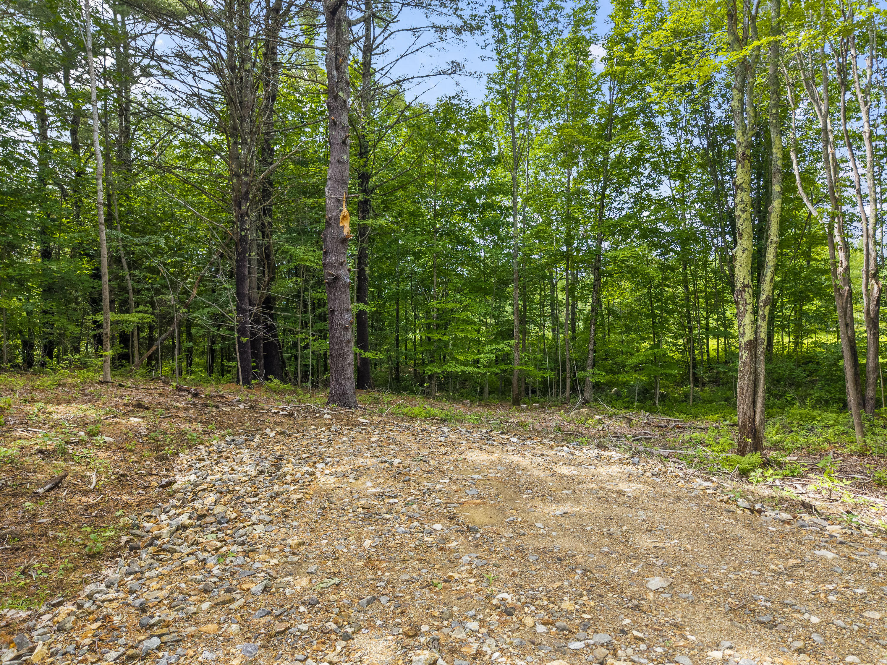 Lot 8 Abby's Way Property Photo 84