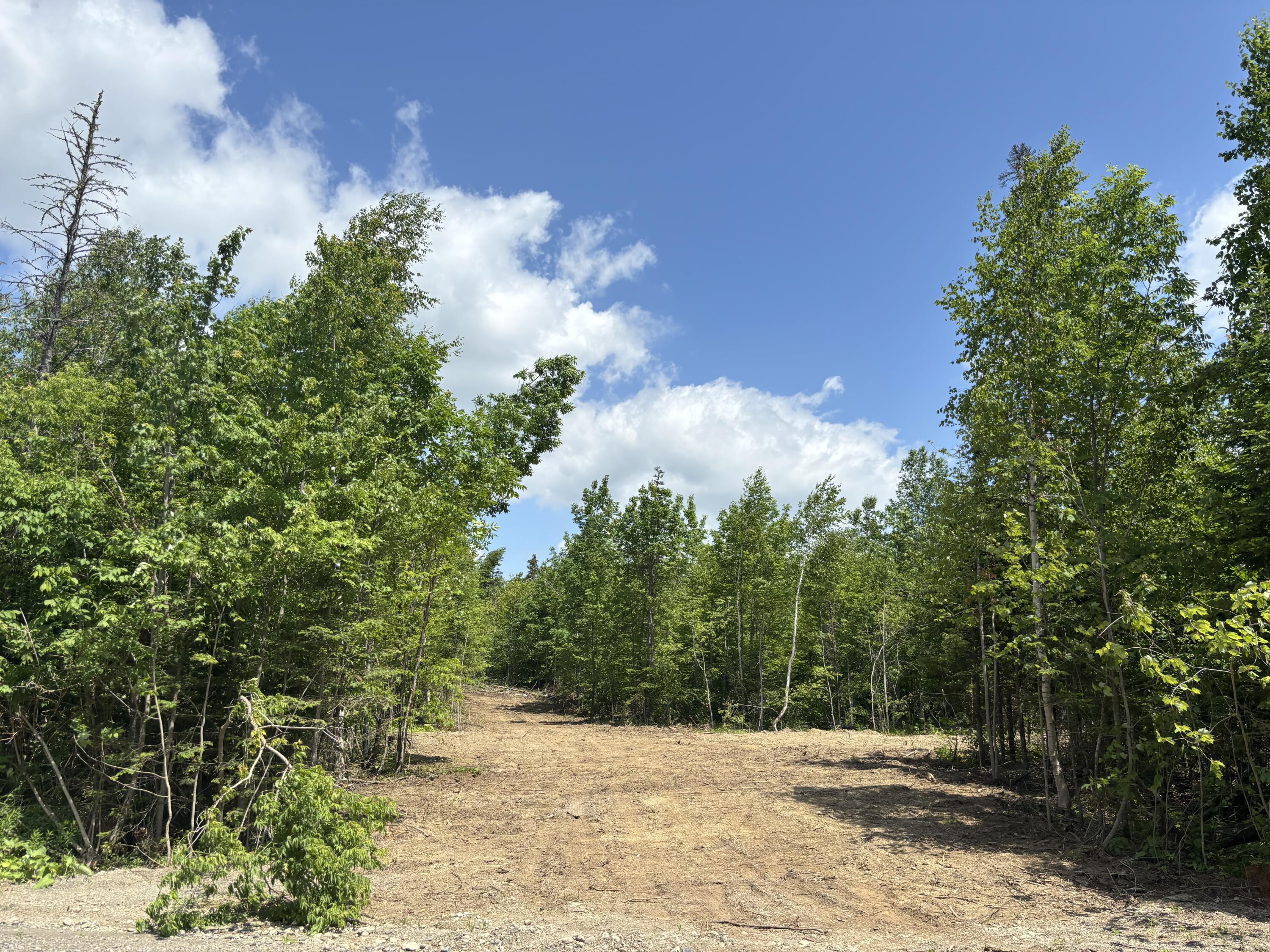 Lot A Mcdonald Road Property Photo 1