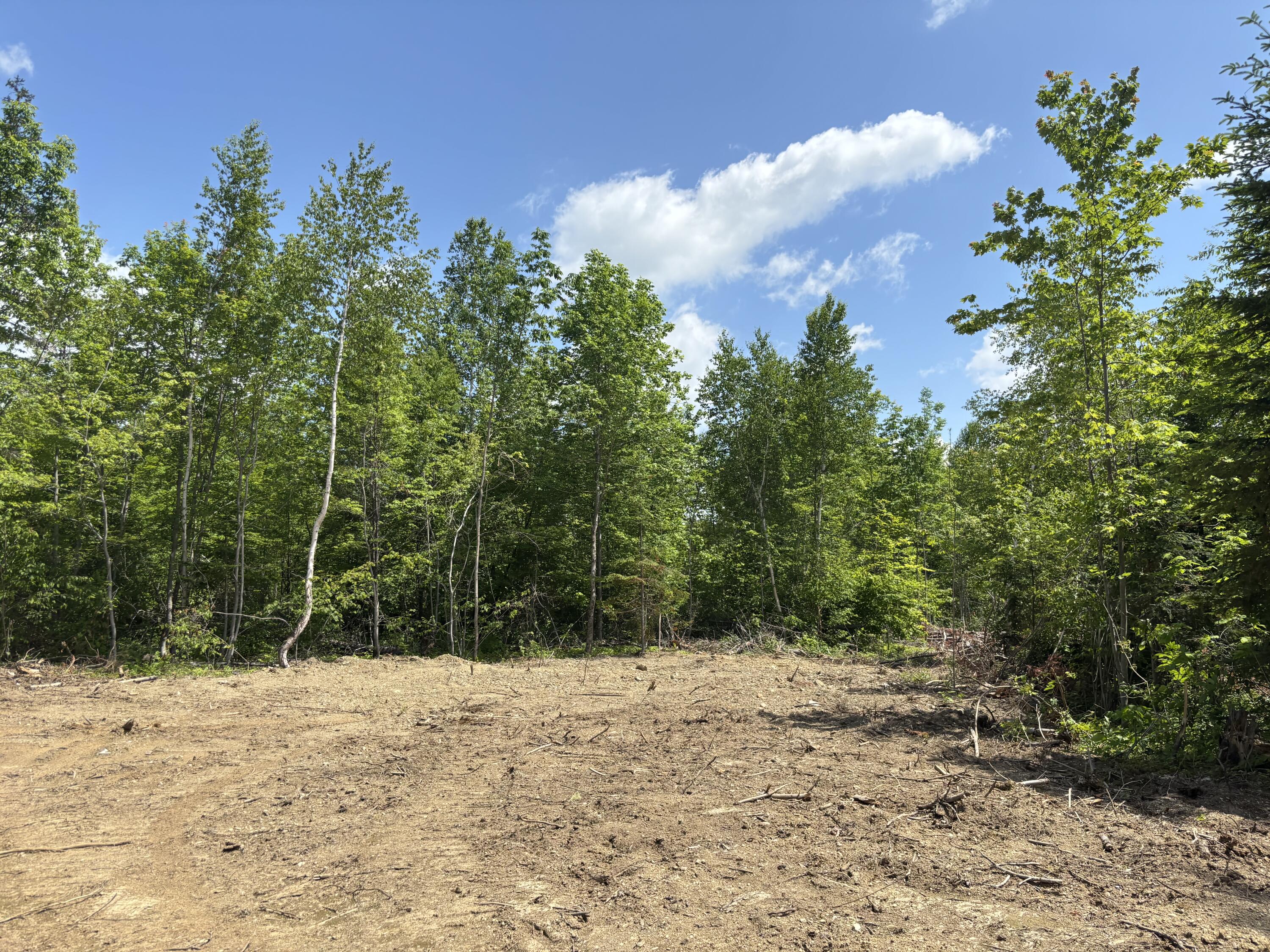 Lot A Mcdonald Road Property Photo 4