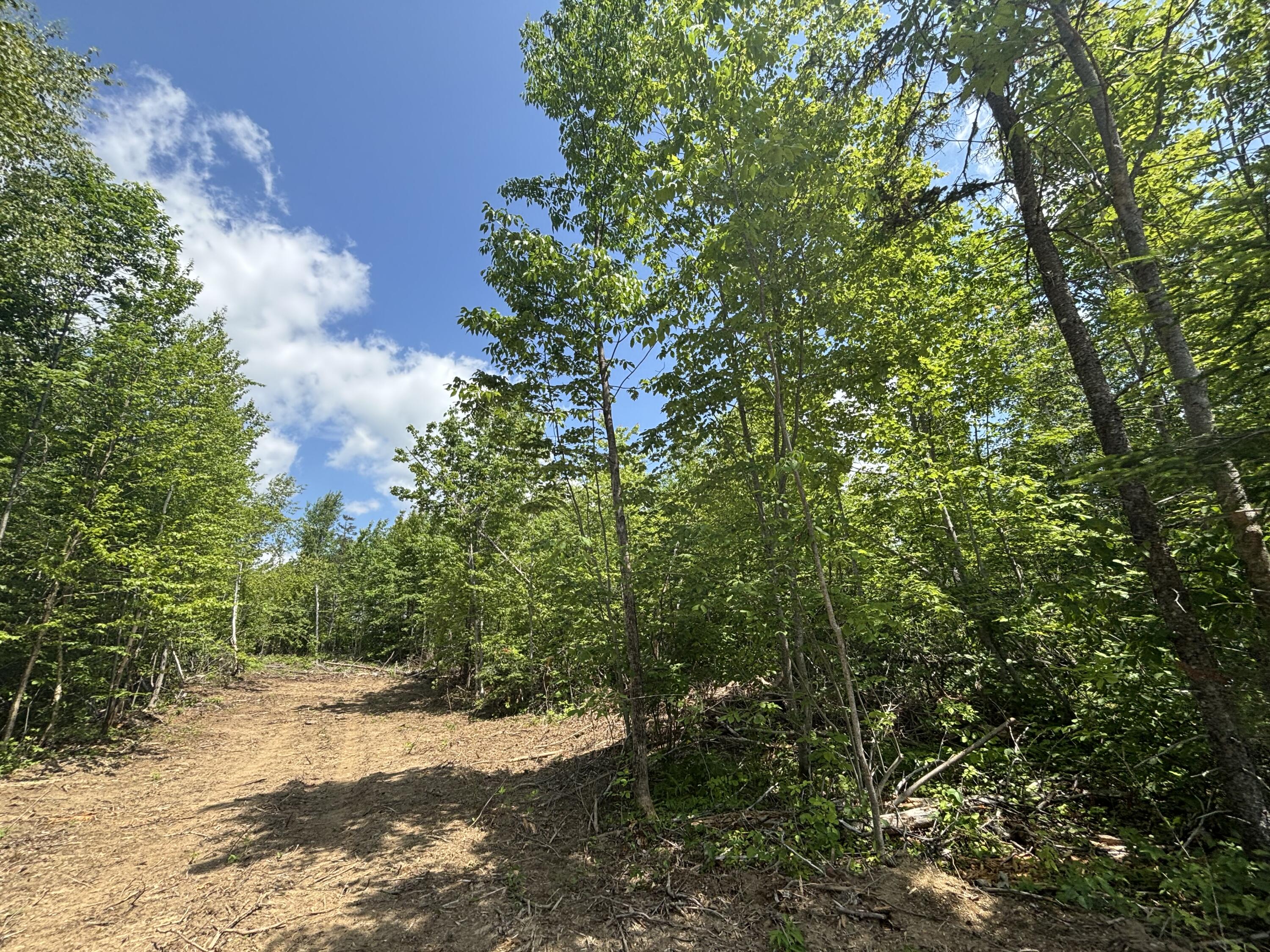 Lot A Mcdonald Road Property Photo 7