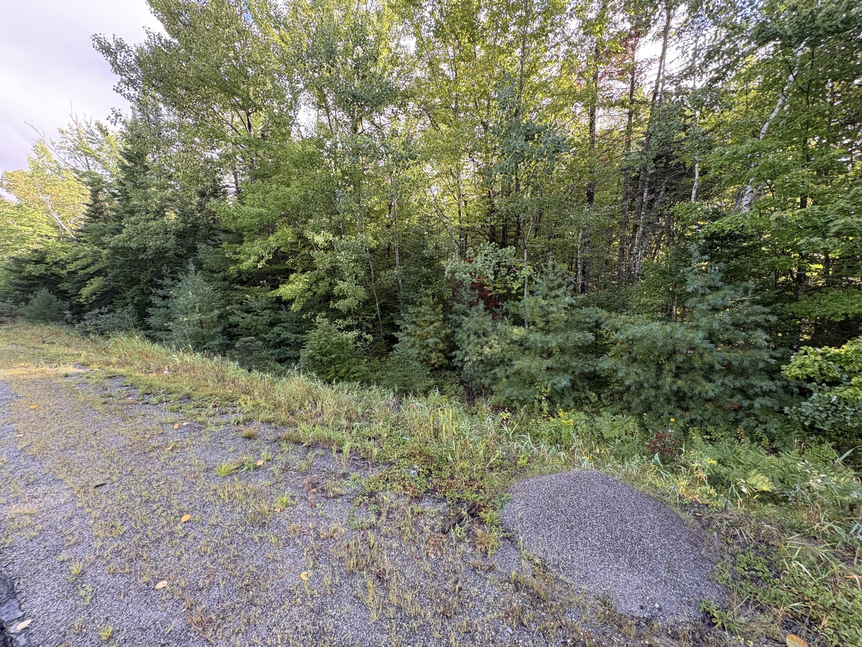 R14-24 Maxfield Road Property Photo 4