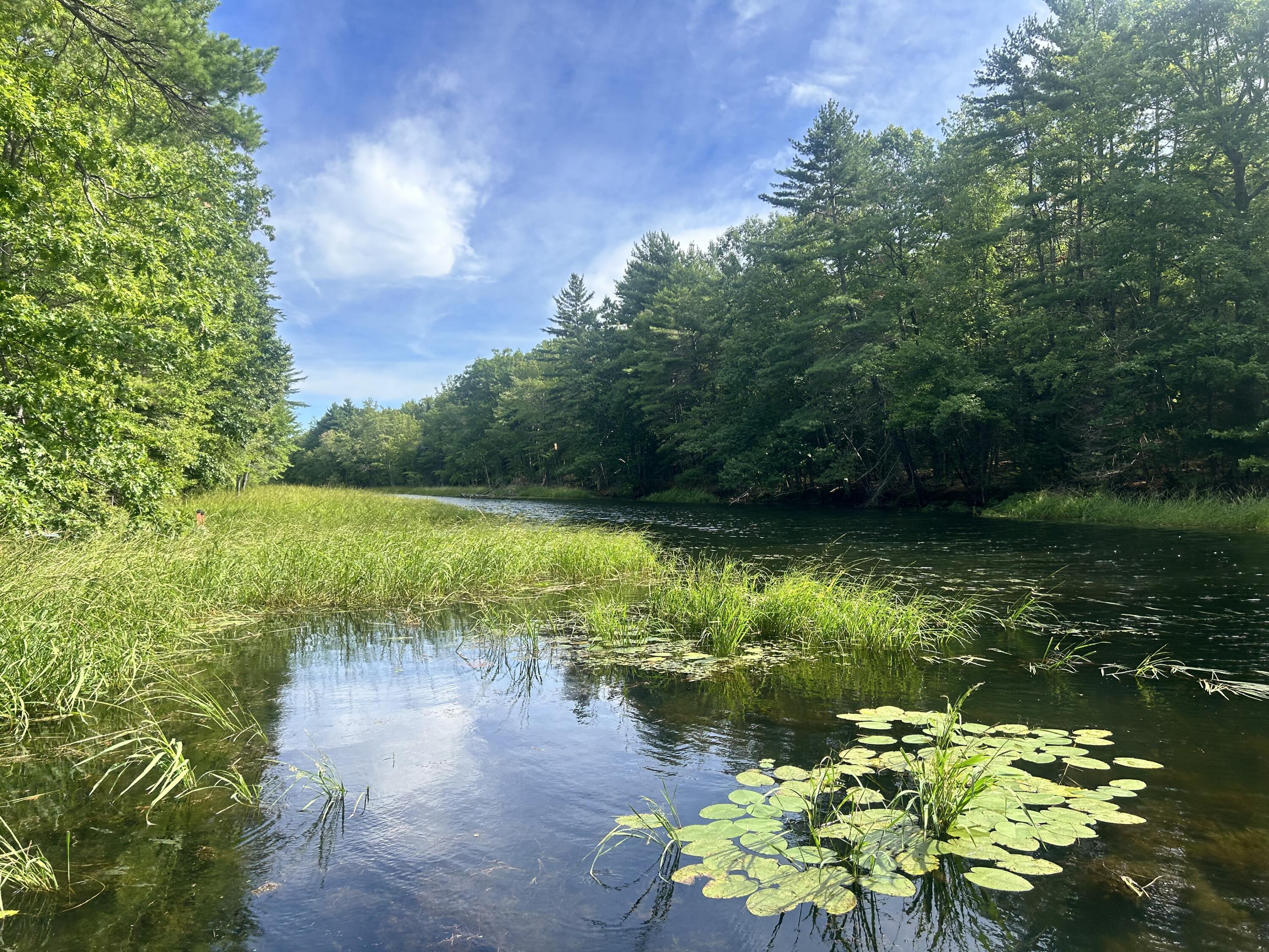 96 Cold Stream Road