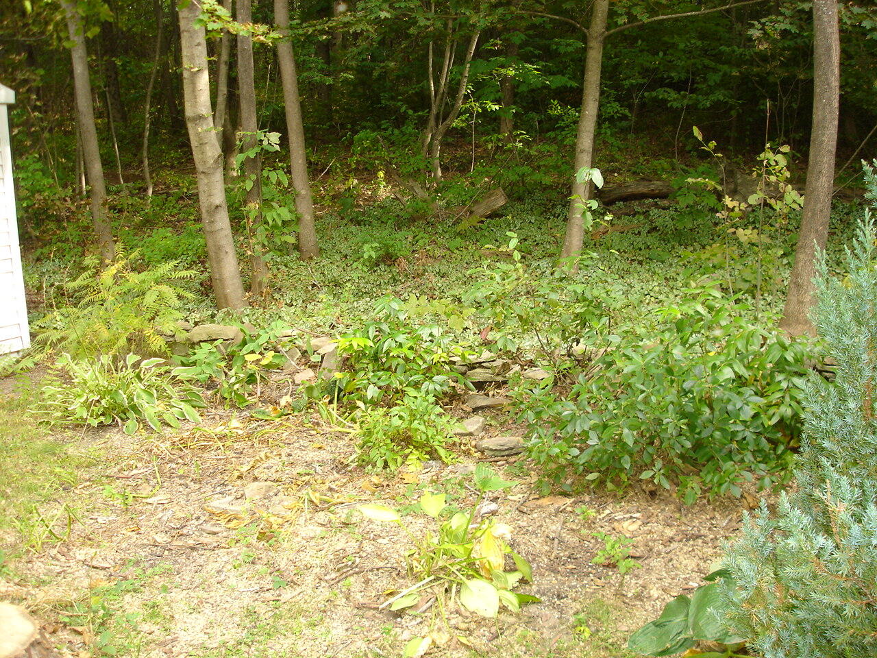 59 Patio Park Lane Property Photo 8