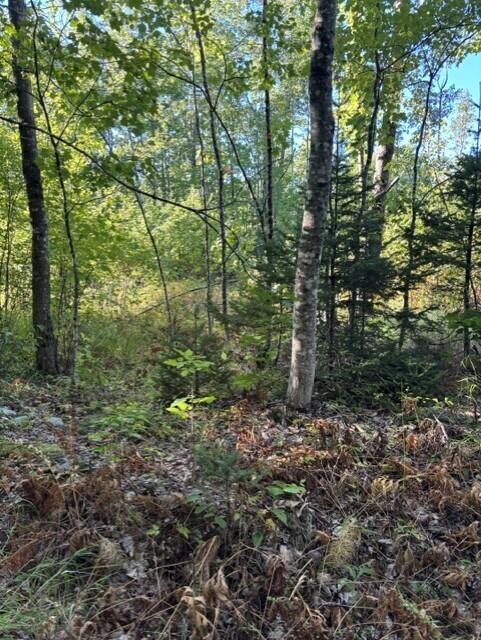 Map2 Lot30 Weeman Road Property Photo 2