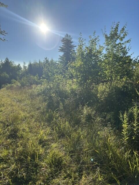 Map2 Lot30 Weeman Road Property Photo 4