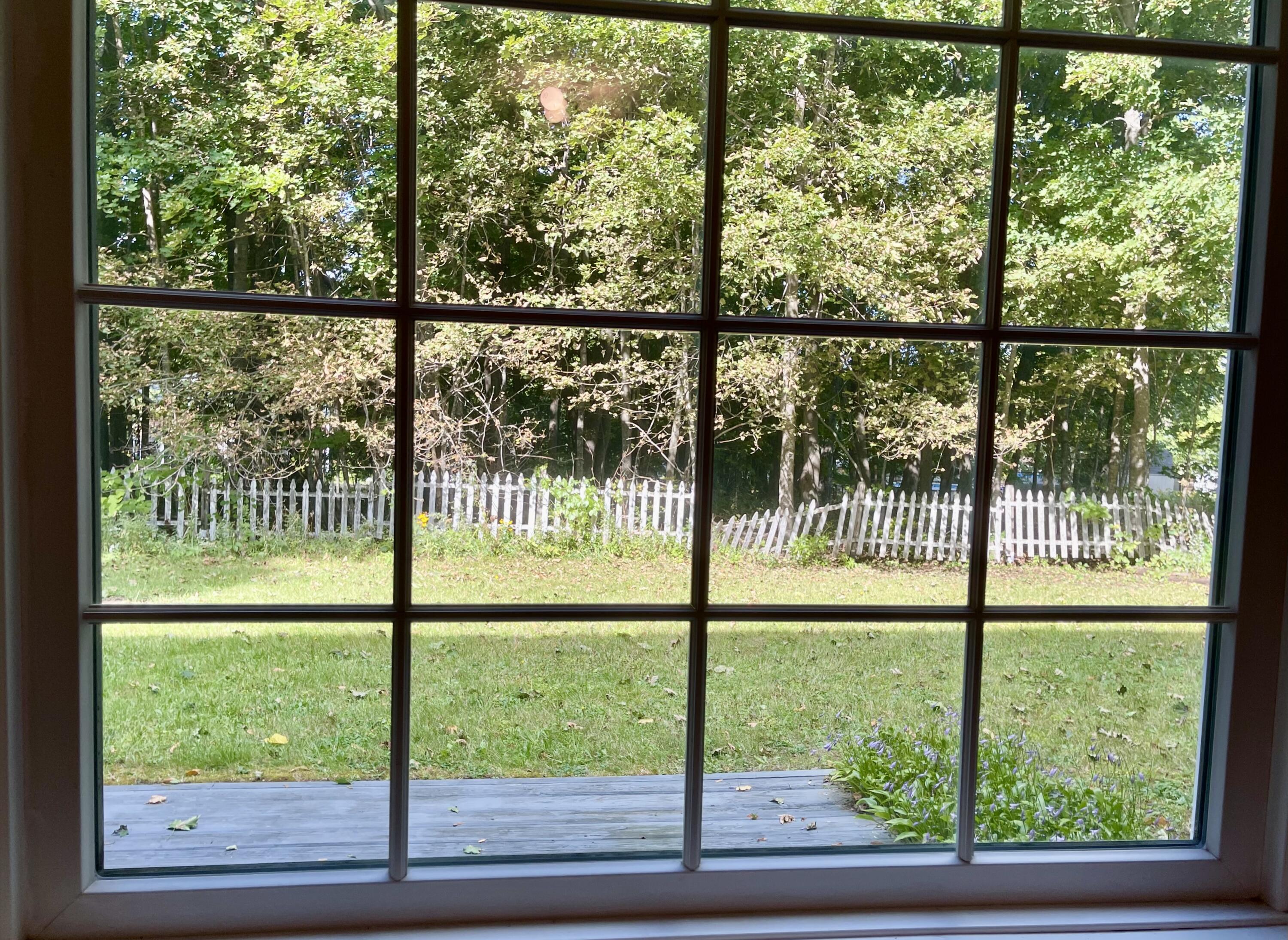 18 Elm Street Property Photo 47