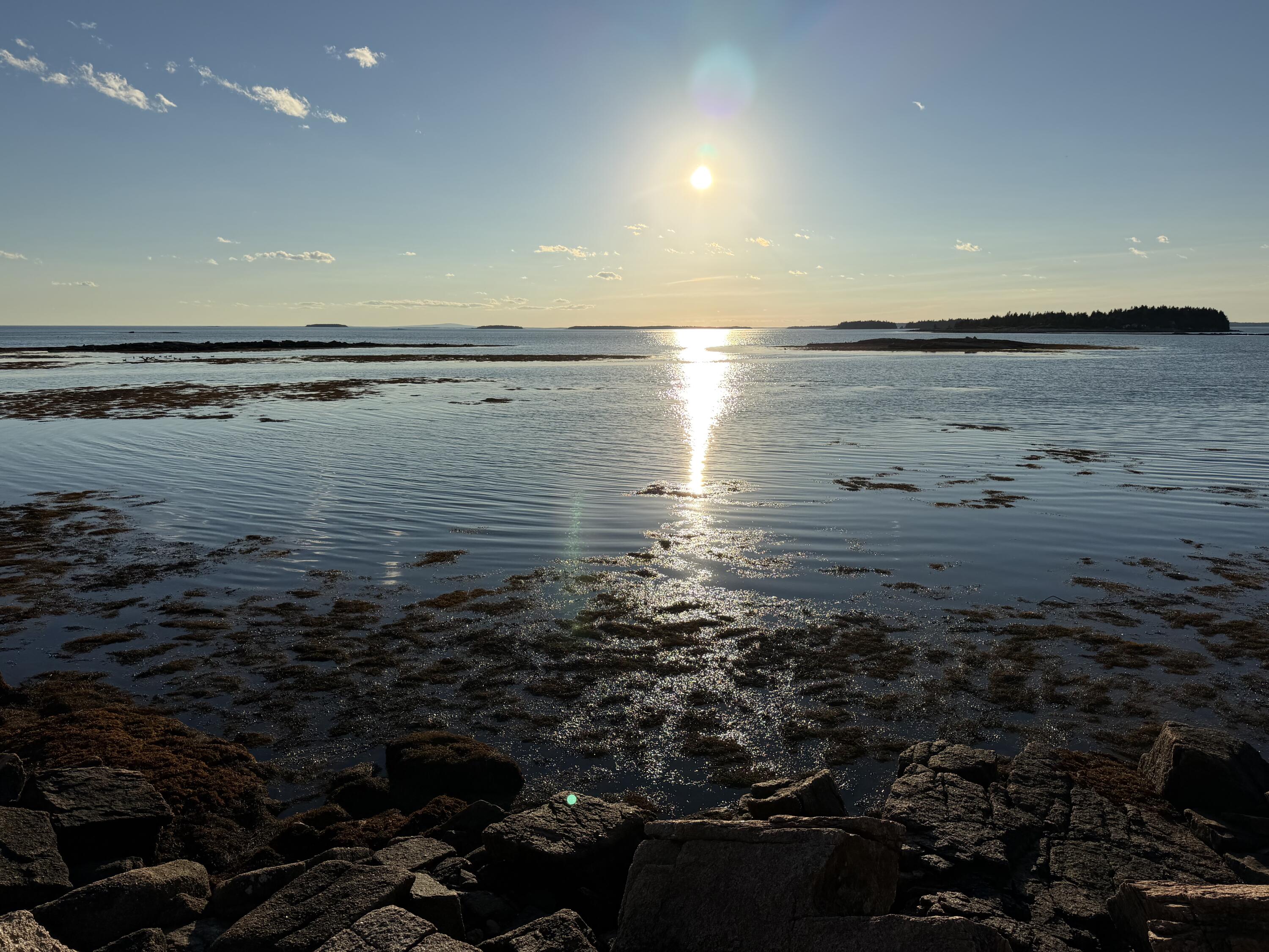 463 Black Duck Cove Road Property Photo 1