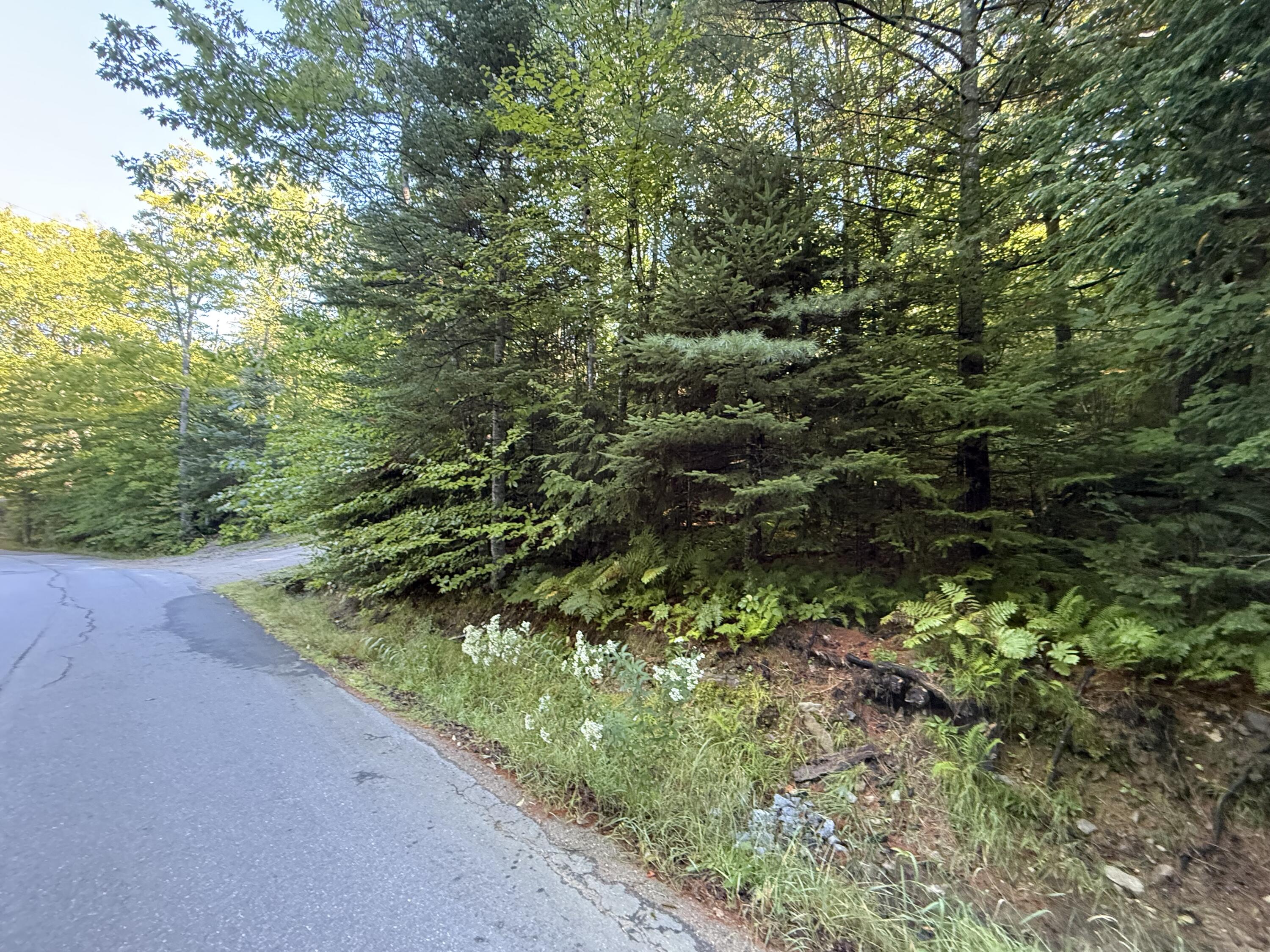 R213c Howard Pond Road Property Photo 2