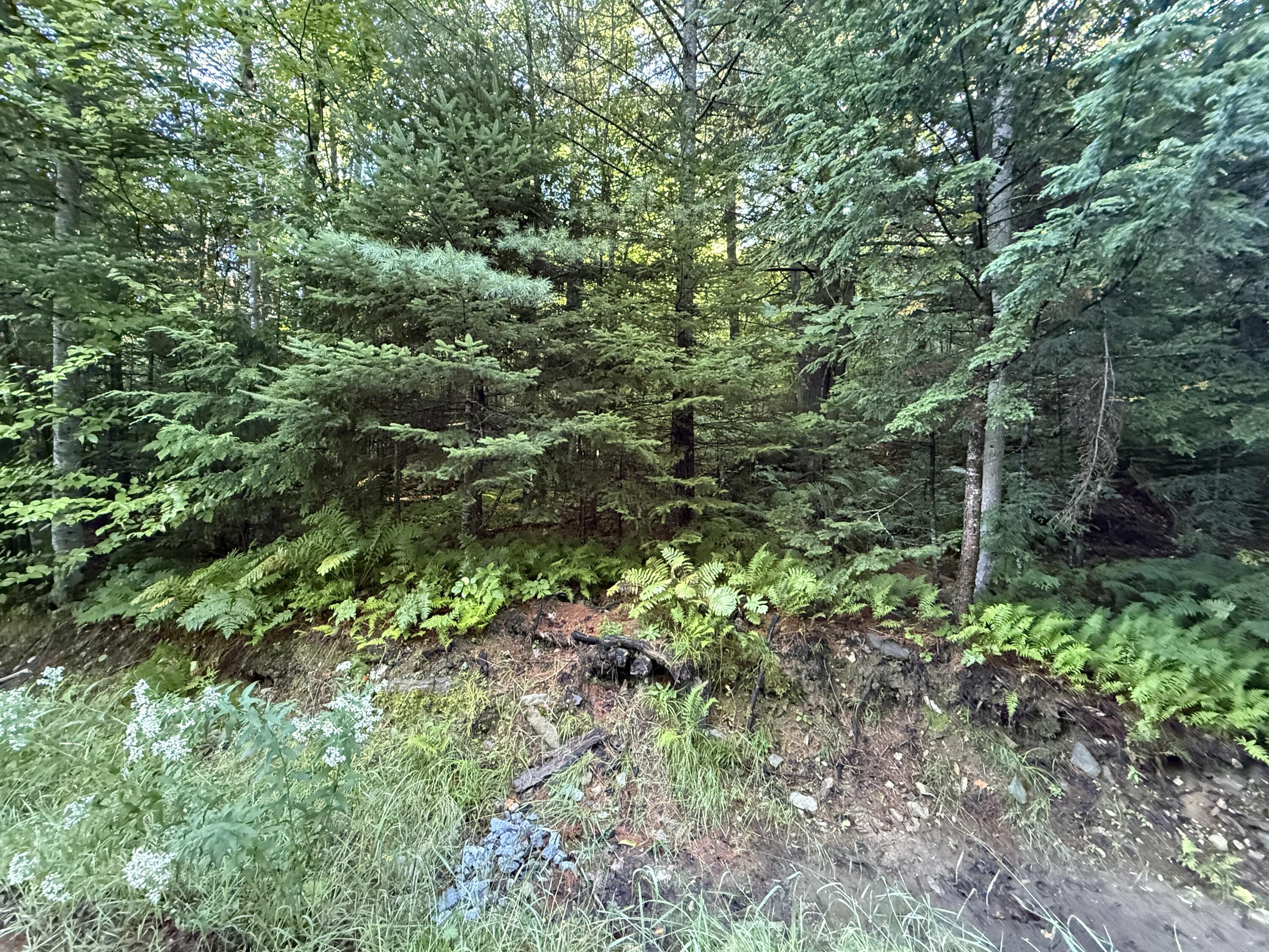 R213c Howard Pond Road Property Photo 7