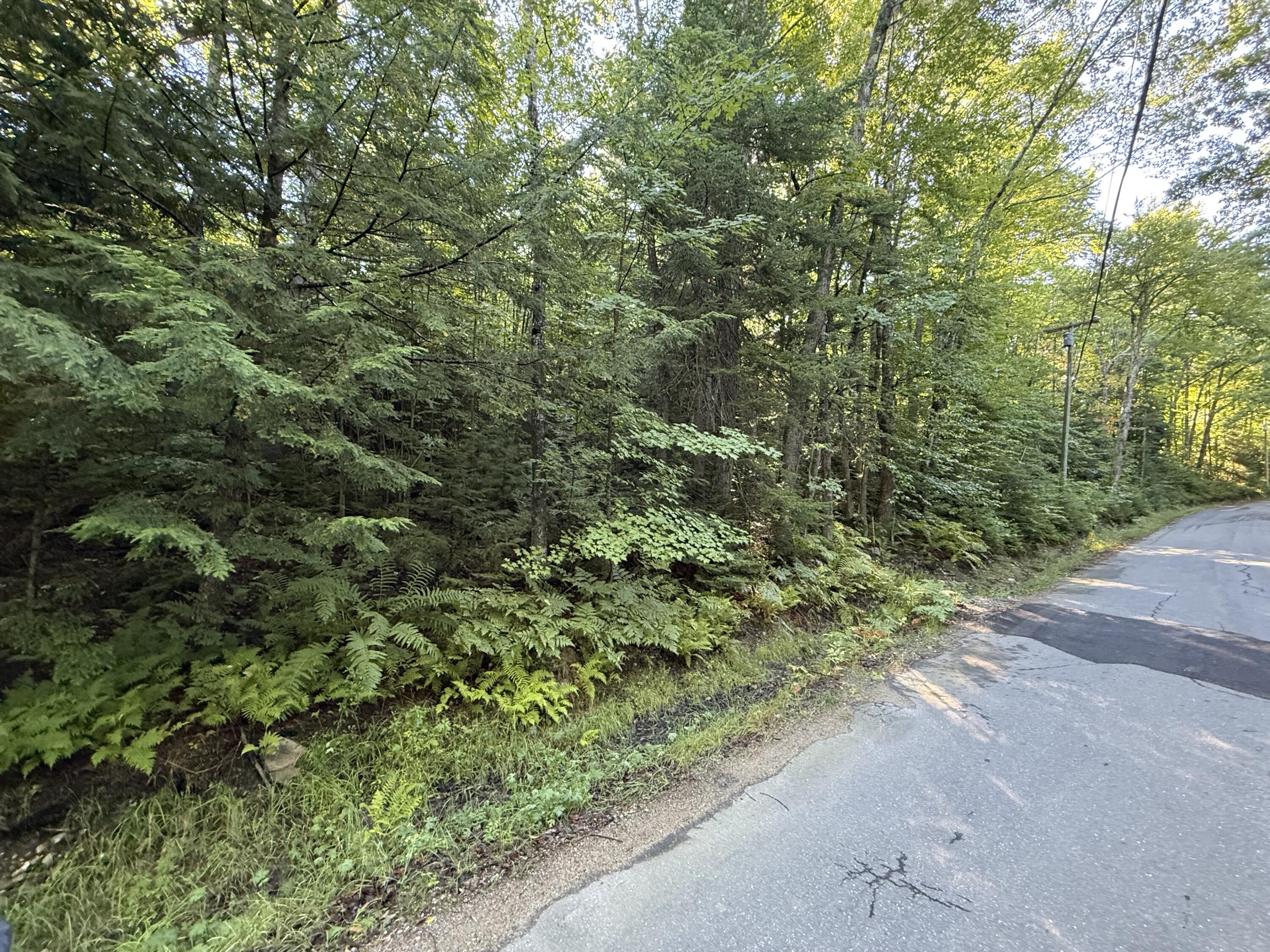 R213c Howard Pond Road Property Photo 9