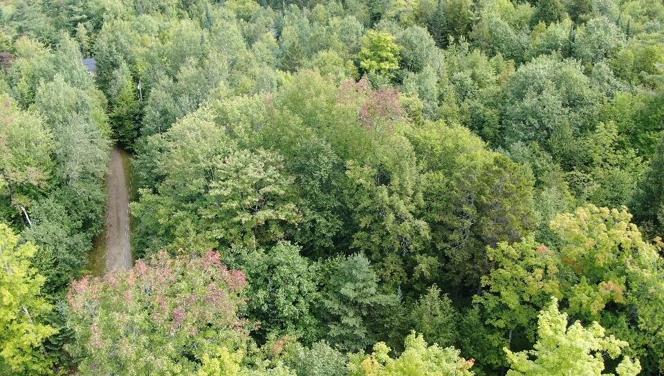 R213c Howard Pond Road Property Photo 10
