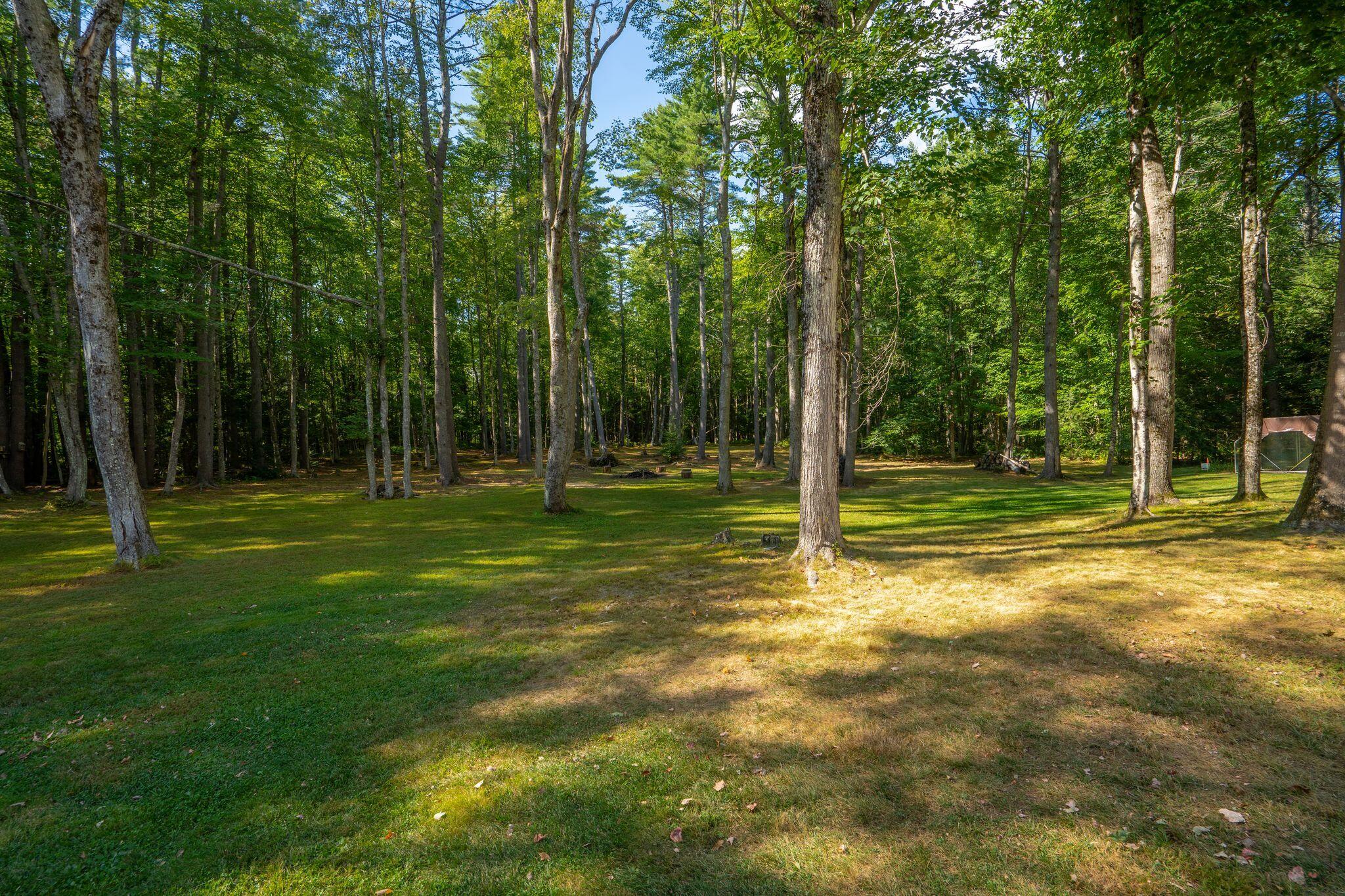64 River Road Property Photo 62