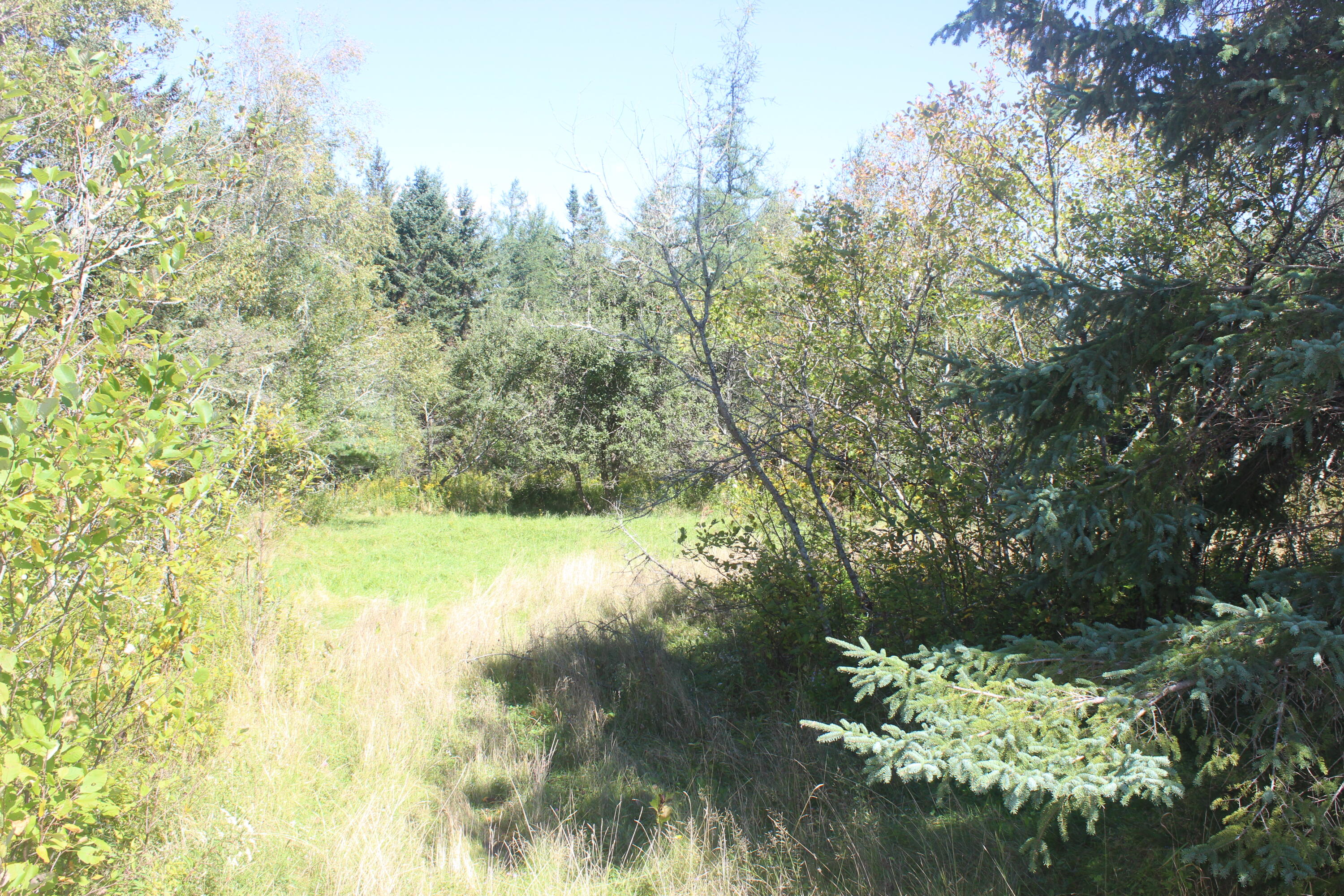 193 Golding Road Property Photo 1