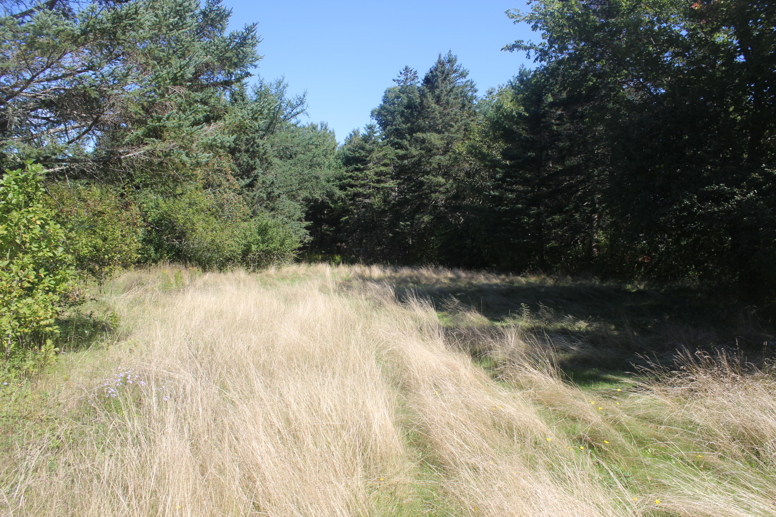193 Golding Road Property Photo 2